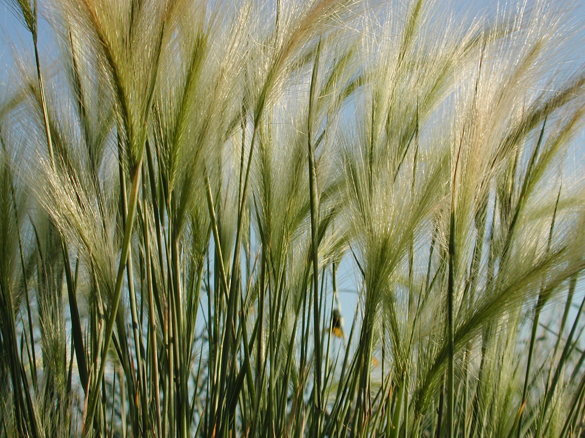 DSCN4202.JPG, 1091925 bytes, 7/12/02