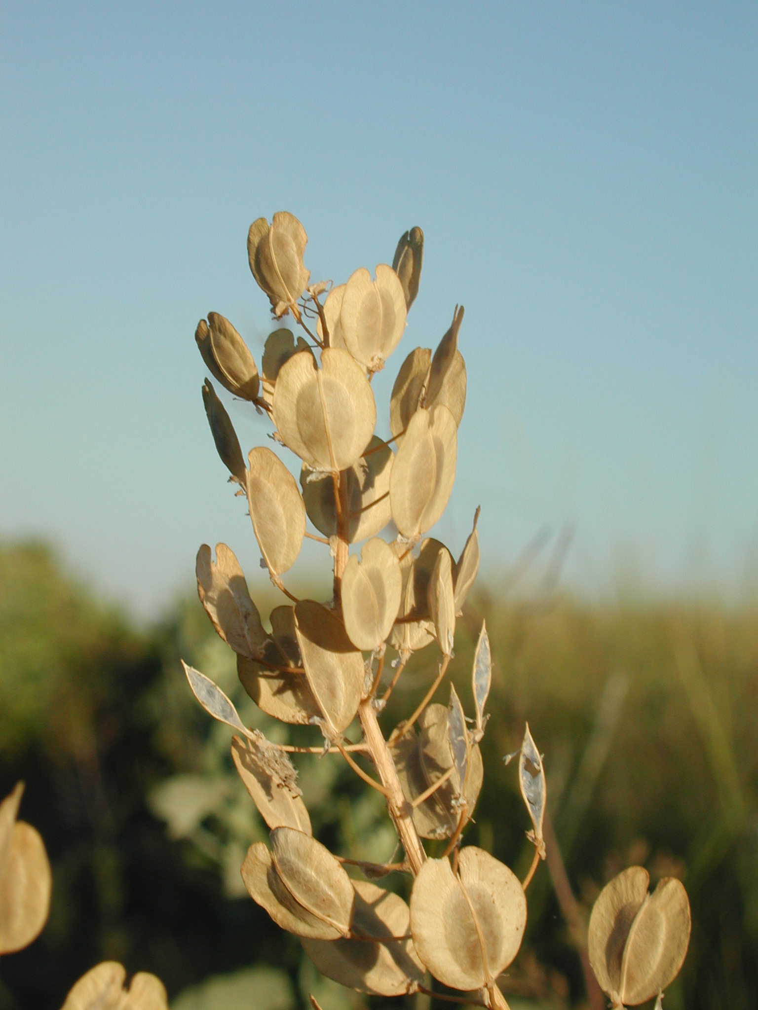 DSCN4205.JPG, 1224414 bytes, 7/12/02