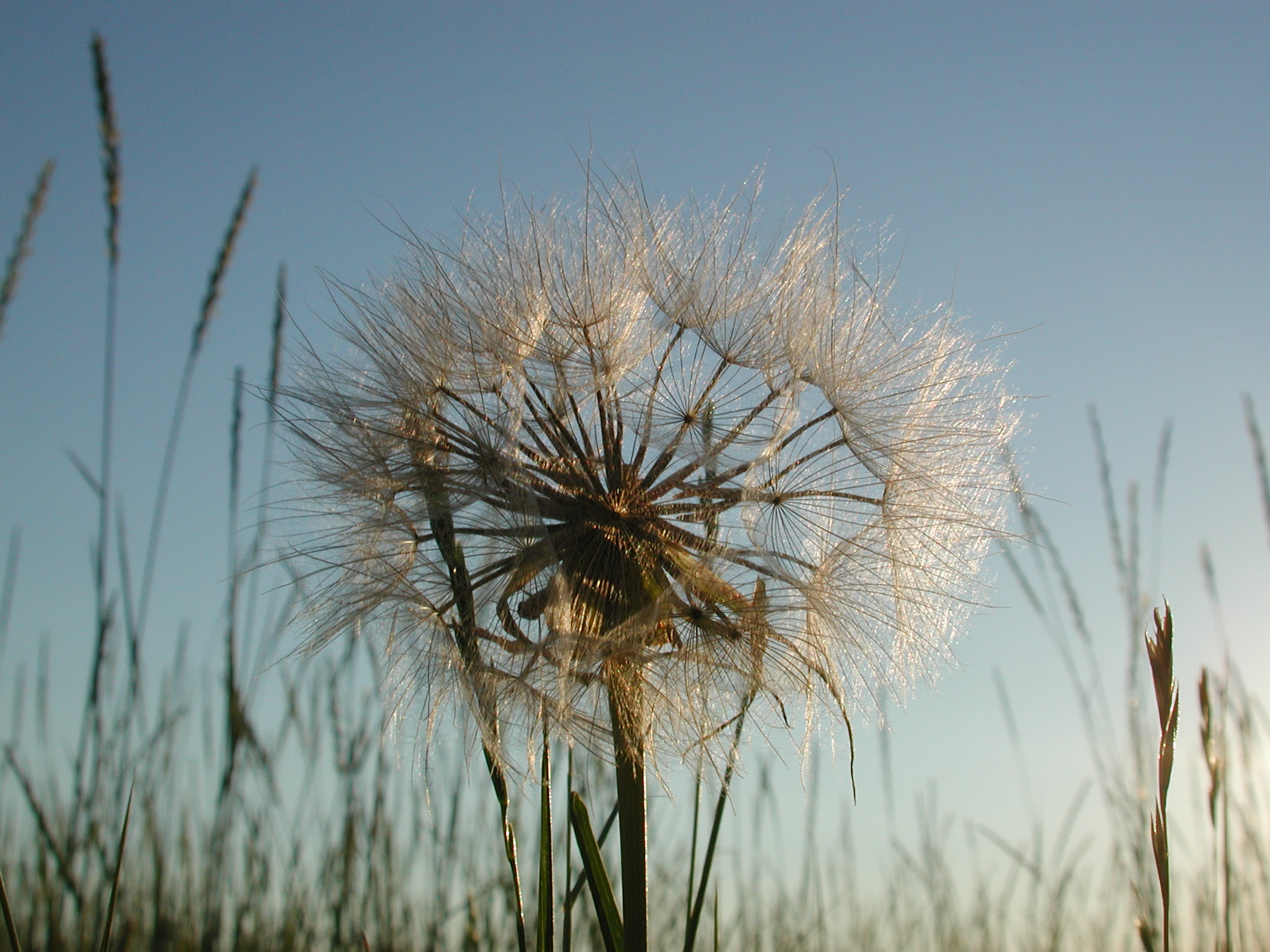 DSCN4213.JPG, 1030952 bytes, 7/12/02