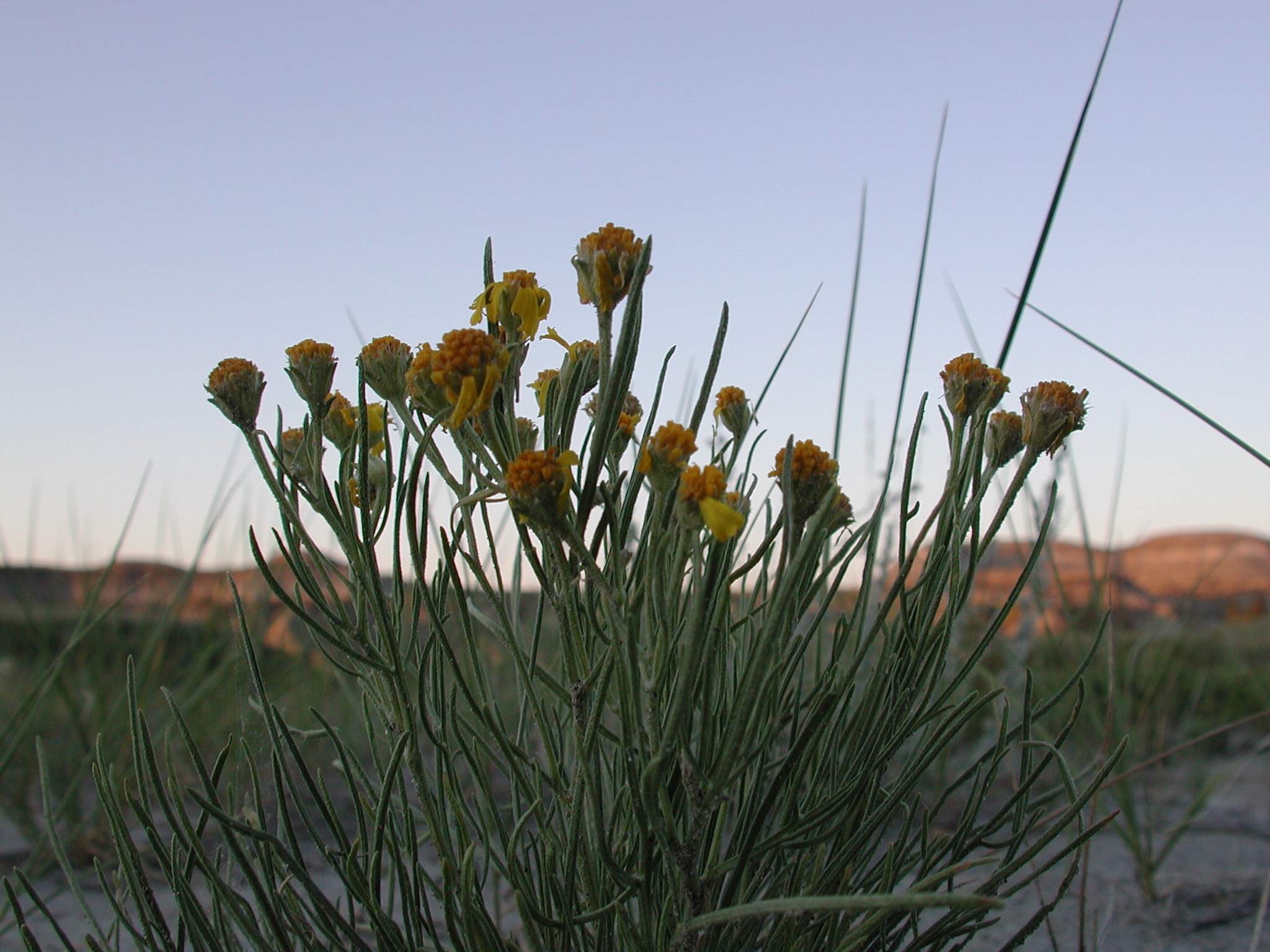 DSCN4228.JPG, 1127877 bytes, 7/12/02