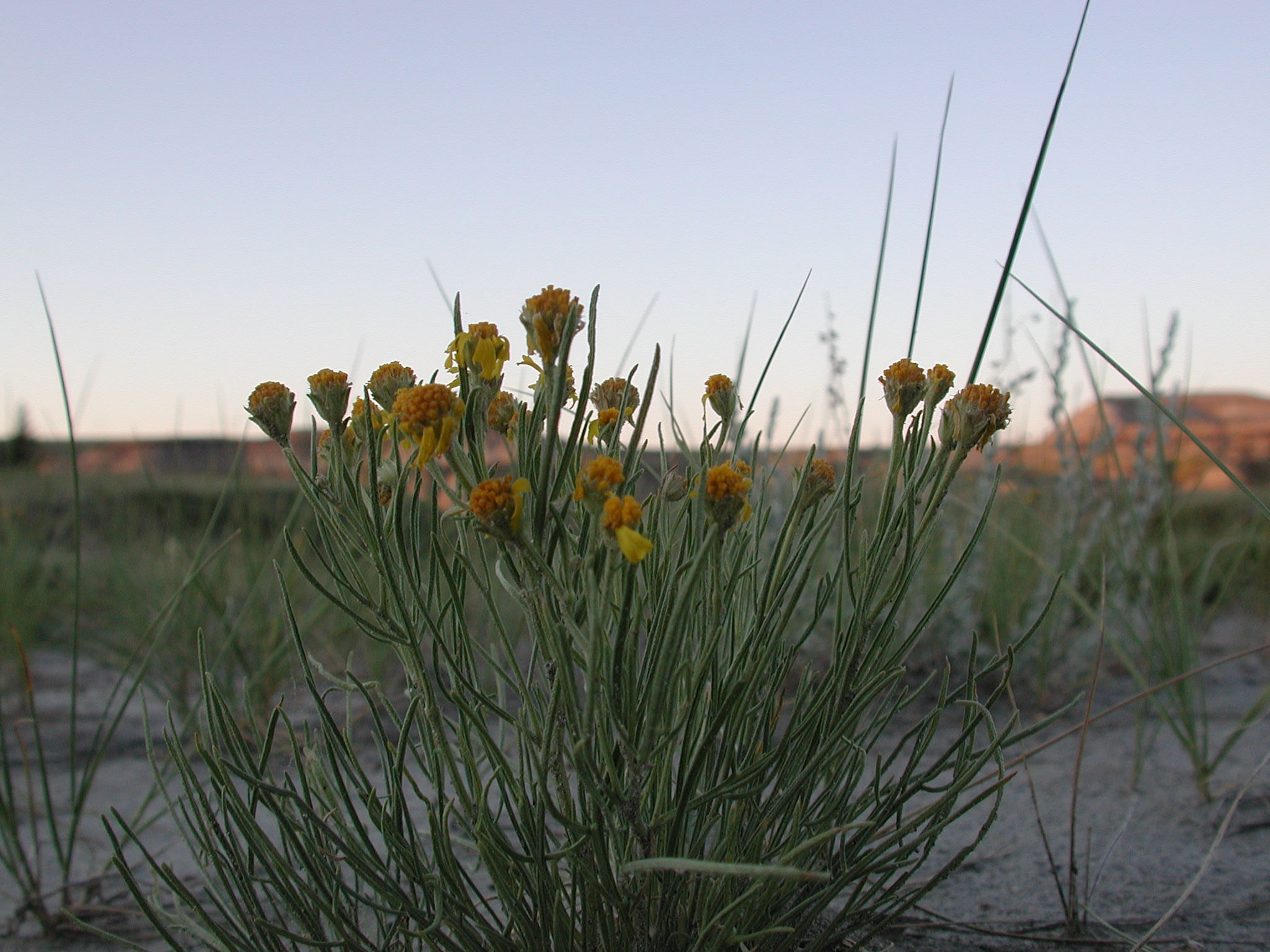 DSCN4229.JPG, 1114717 bytes, 7/12/02