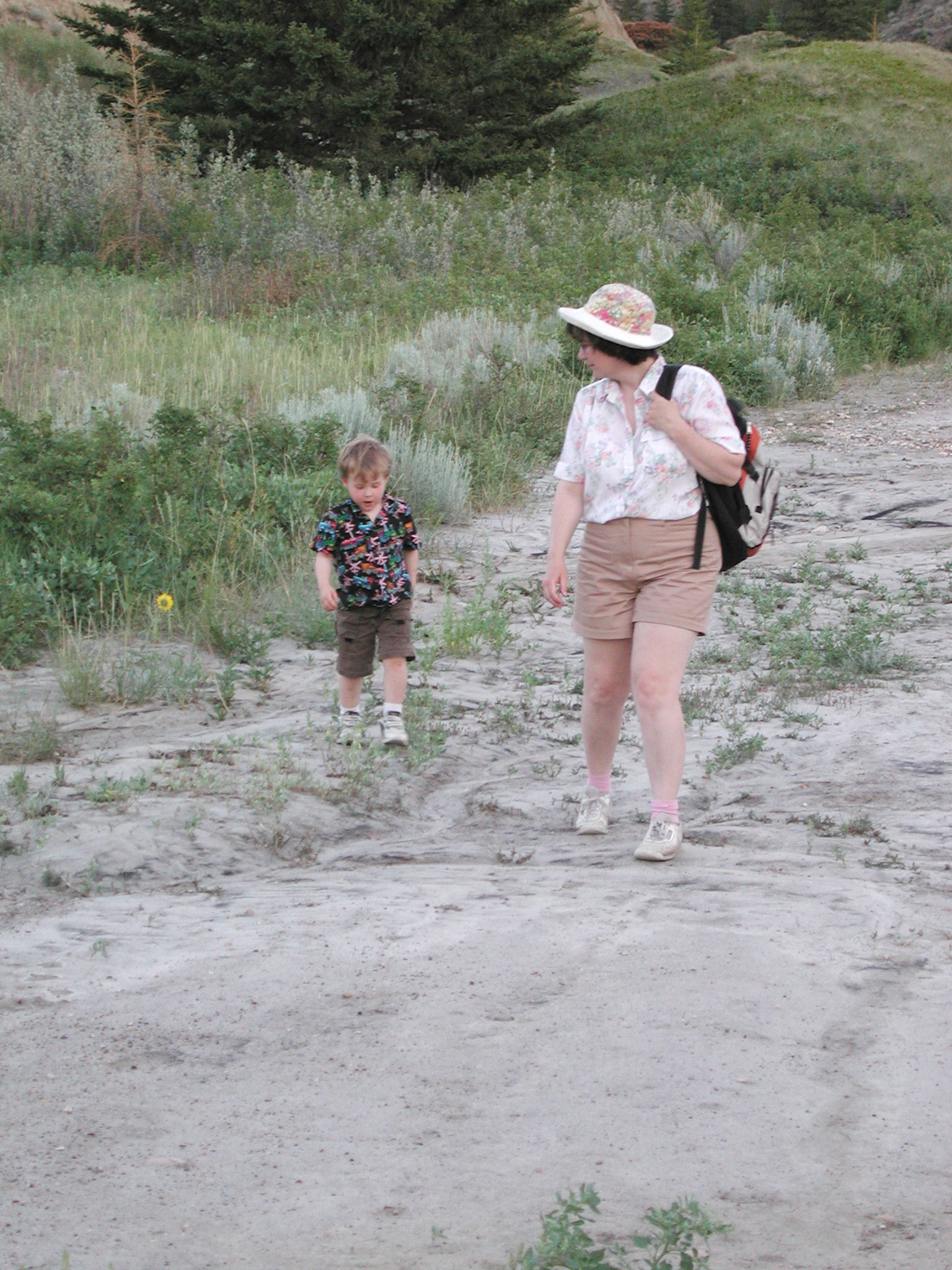 DSCN4237.JPG, 869574 bytes, 10/14/02