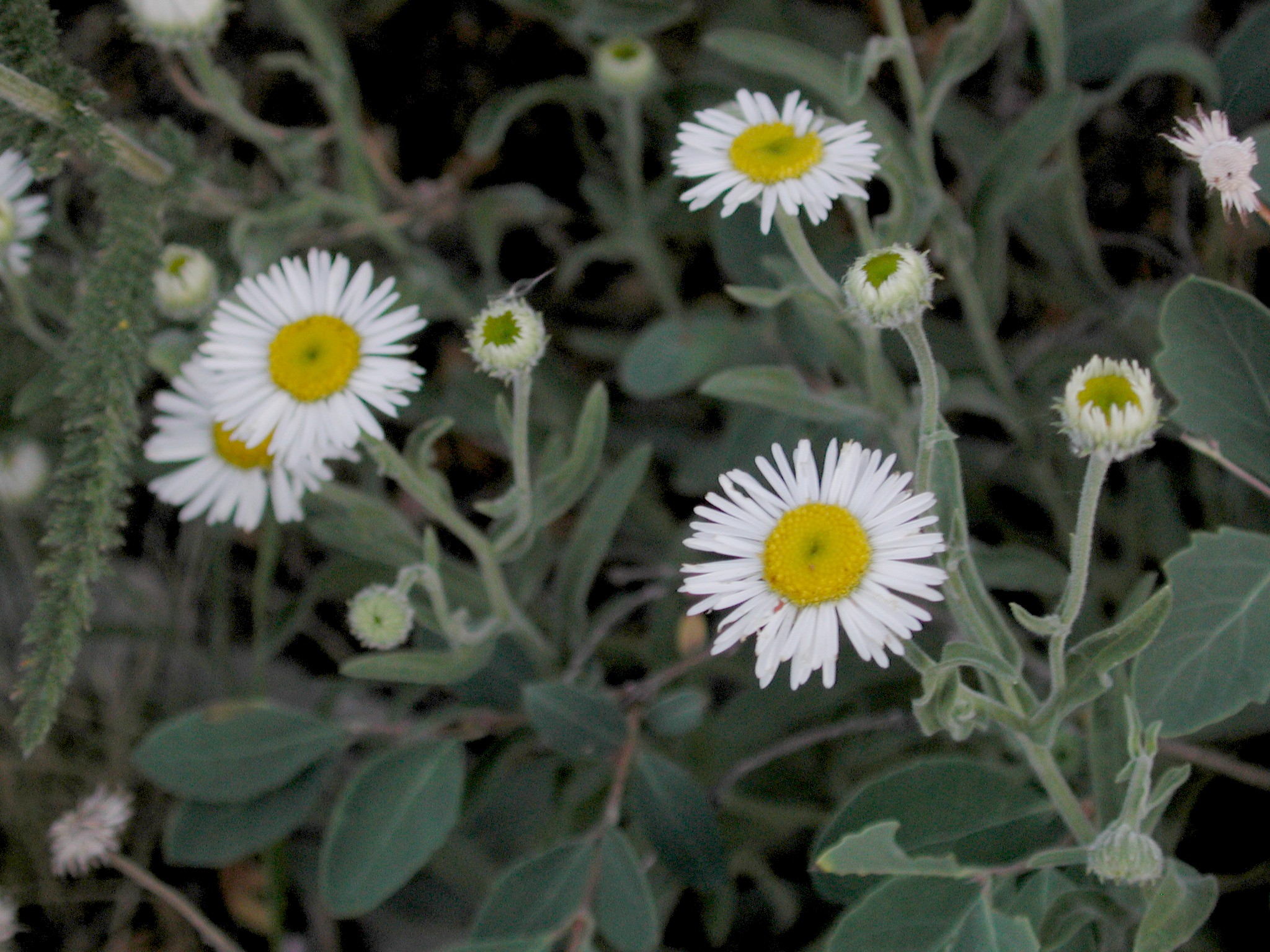 DSCN4241.JPG, 785557 bytes, 10/14/02