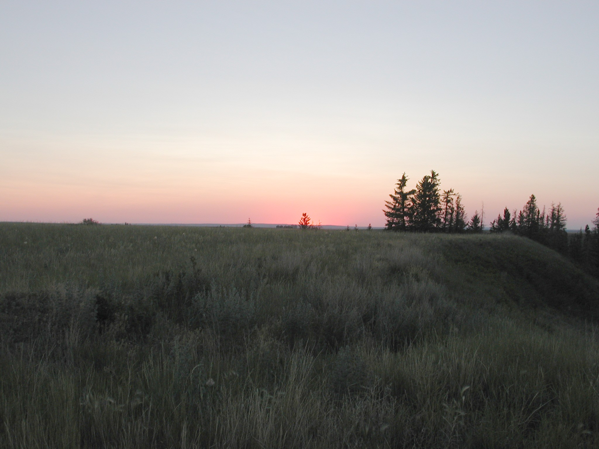 DSCN4243.JPG, 519741 bytes, 10/14/02