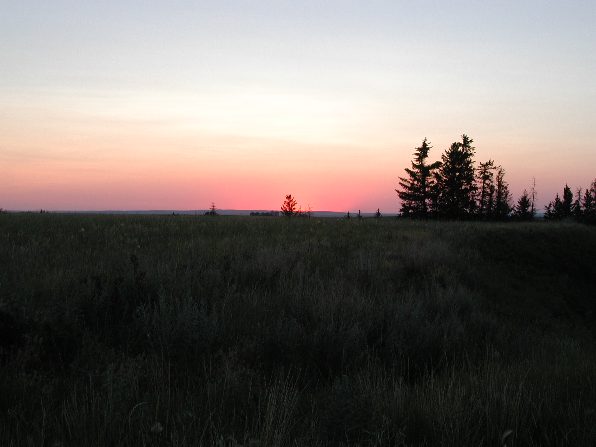 DSCN4245.JPG, 1014955 bytes, 7/12/02