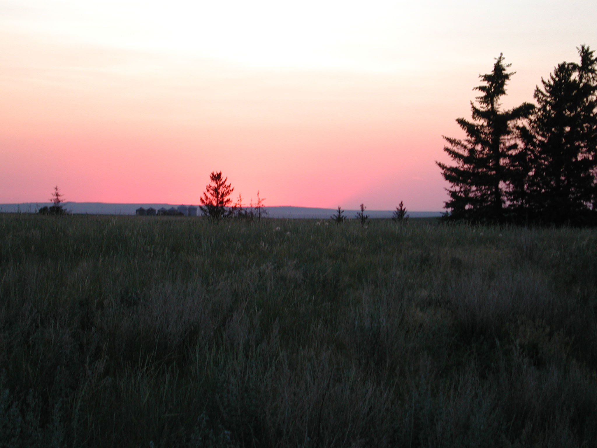 DSCN4246.JPG, 987791 bytes, 7/12/02