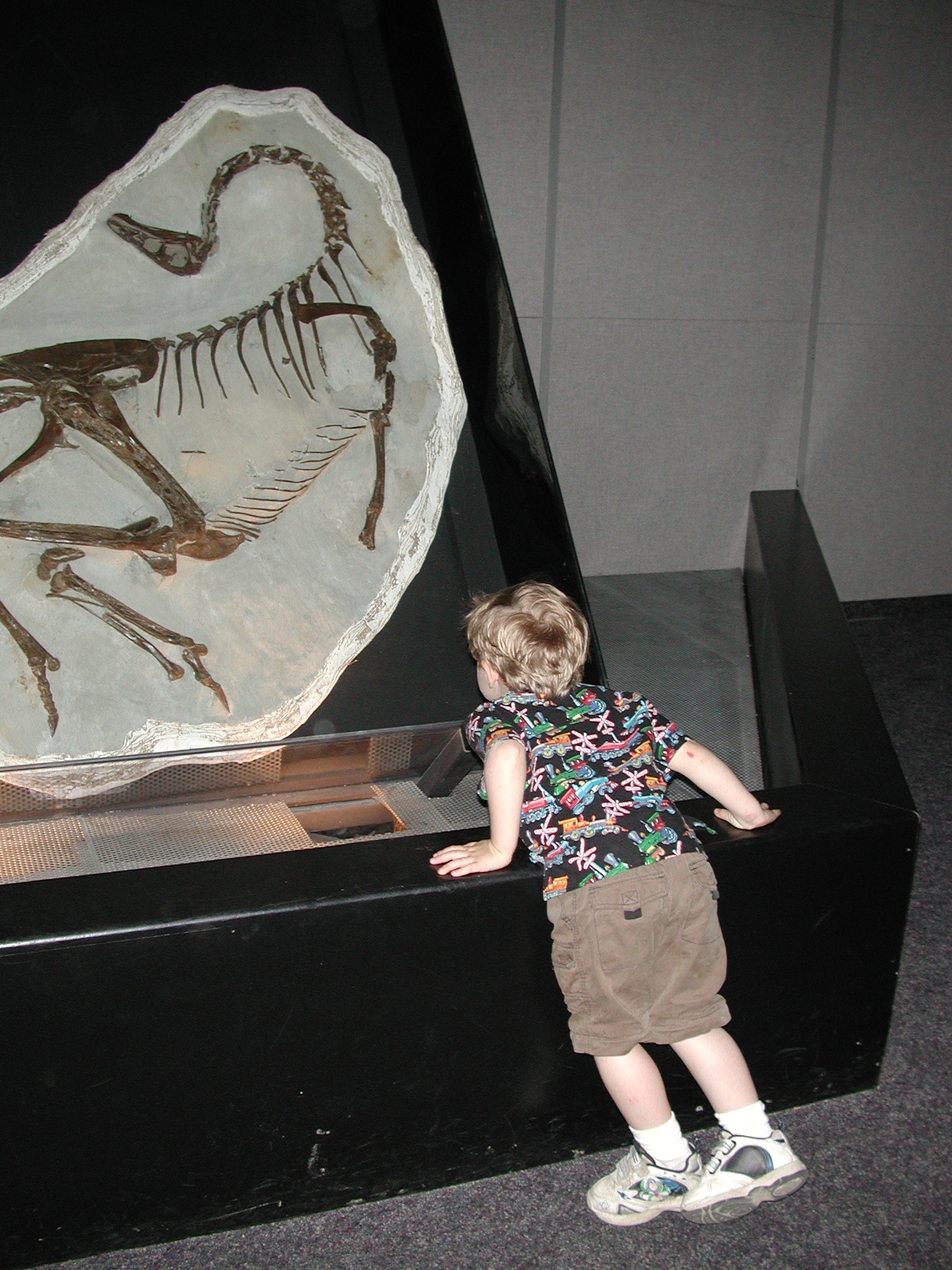 DSCN4181.JPG, 789672 bytes, 10/14/02