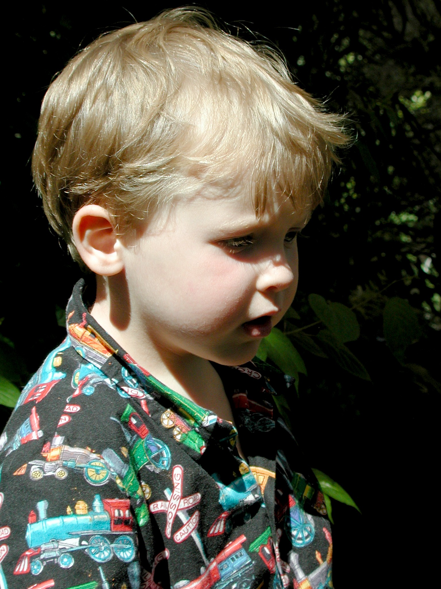 DSCN4184.JPG, 676253 bytes, 10/14/02