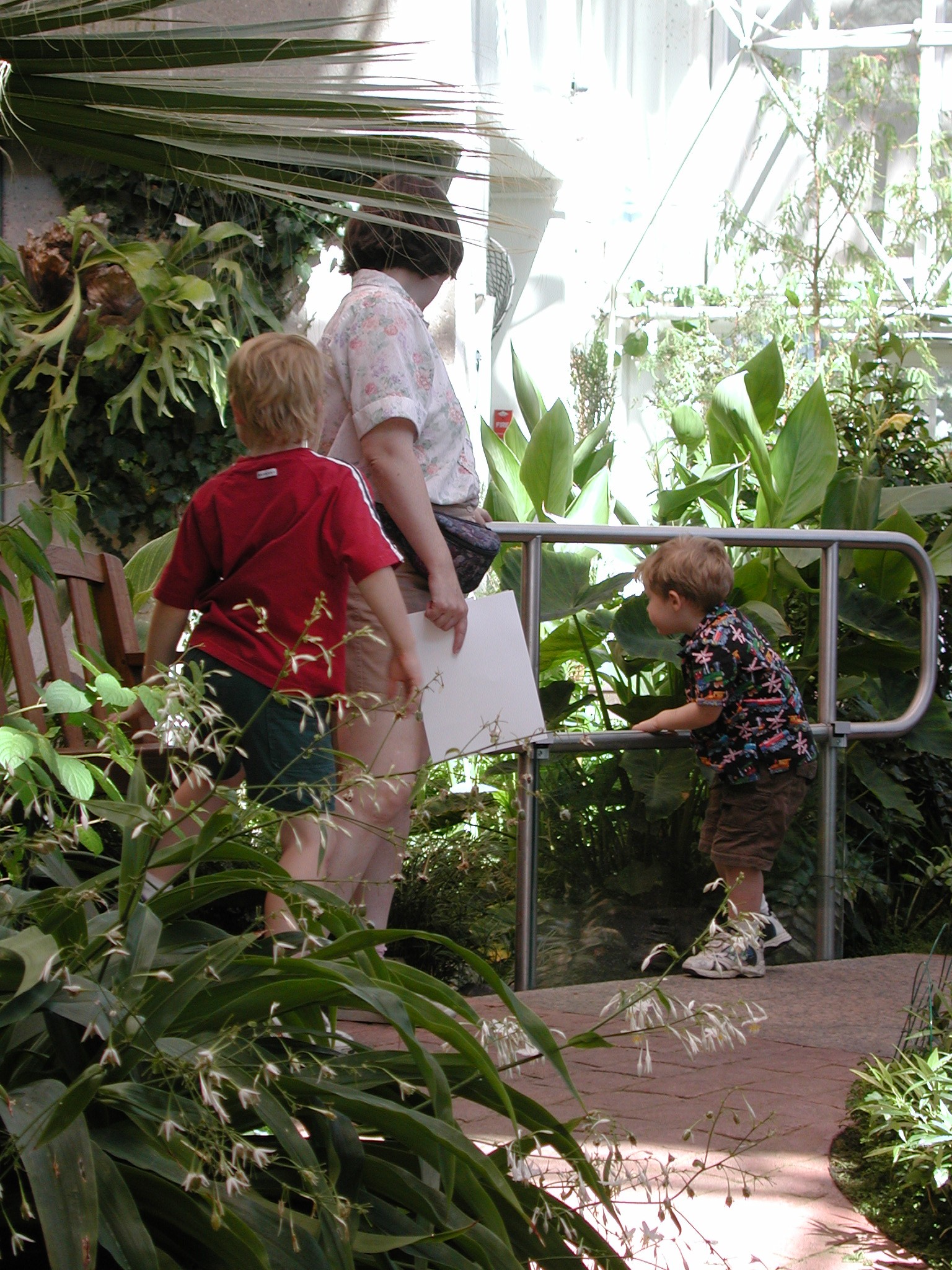 DSCN4186.JPG, 853848 bytes, 10/14/02