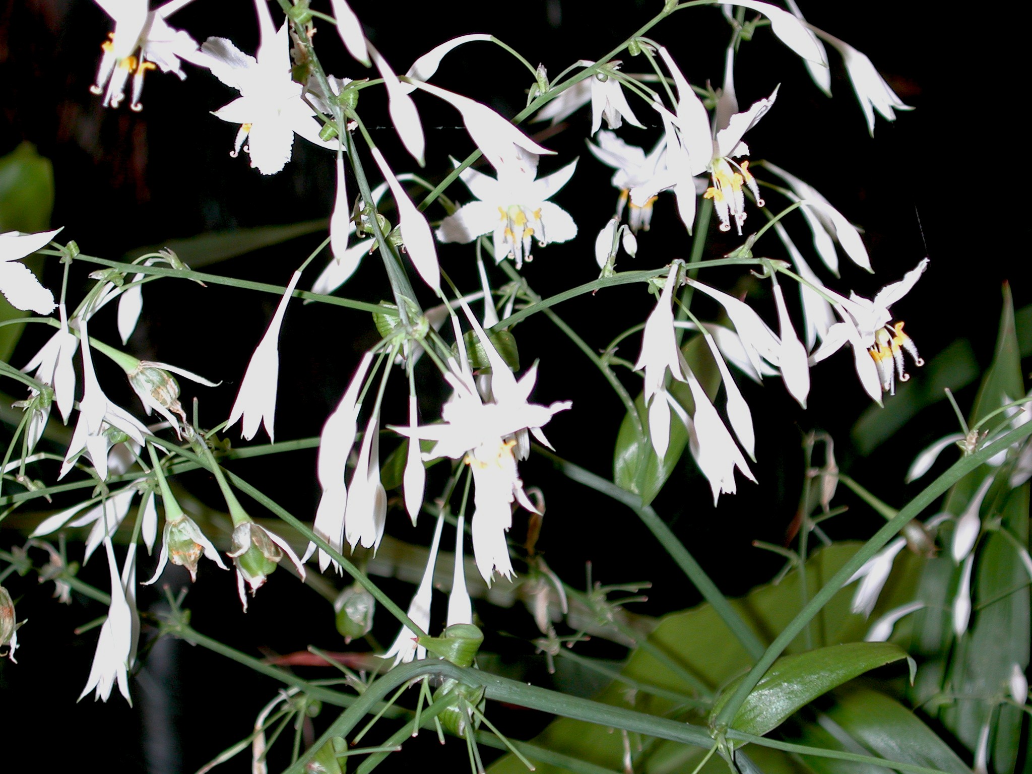 DSCN4191.JPG, 579753 bytes, 10/14/02