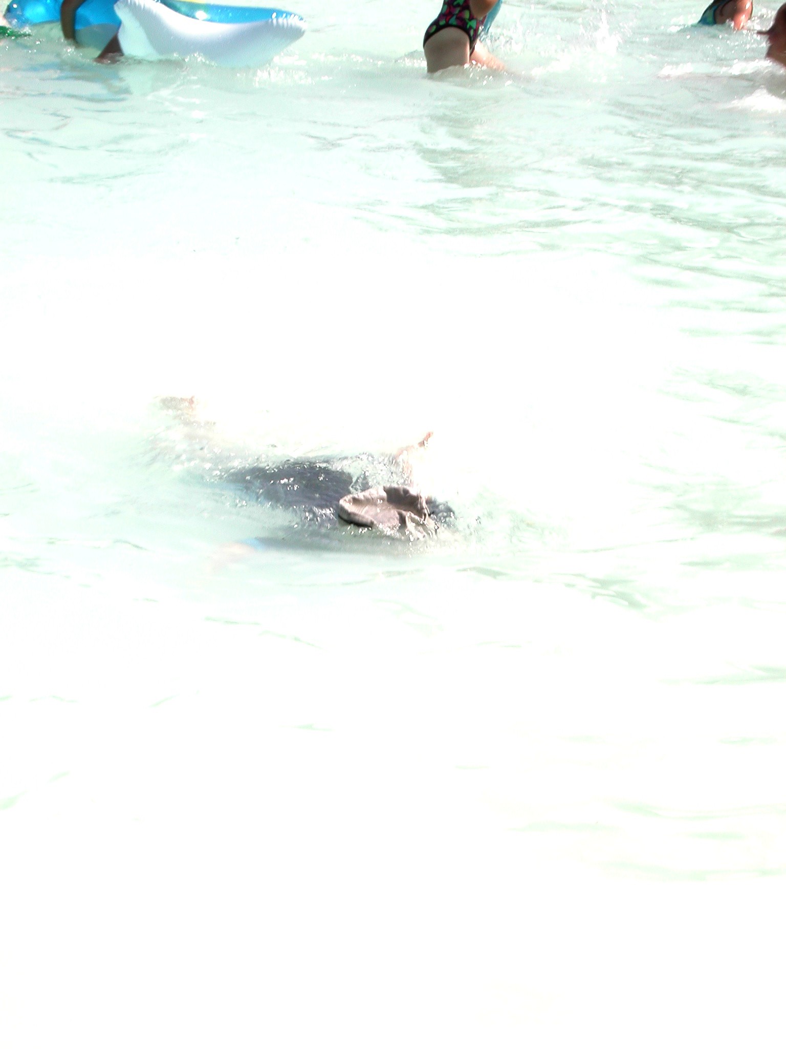 DSCN4263.JPG, 230794 bytes, 10/27/02