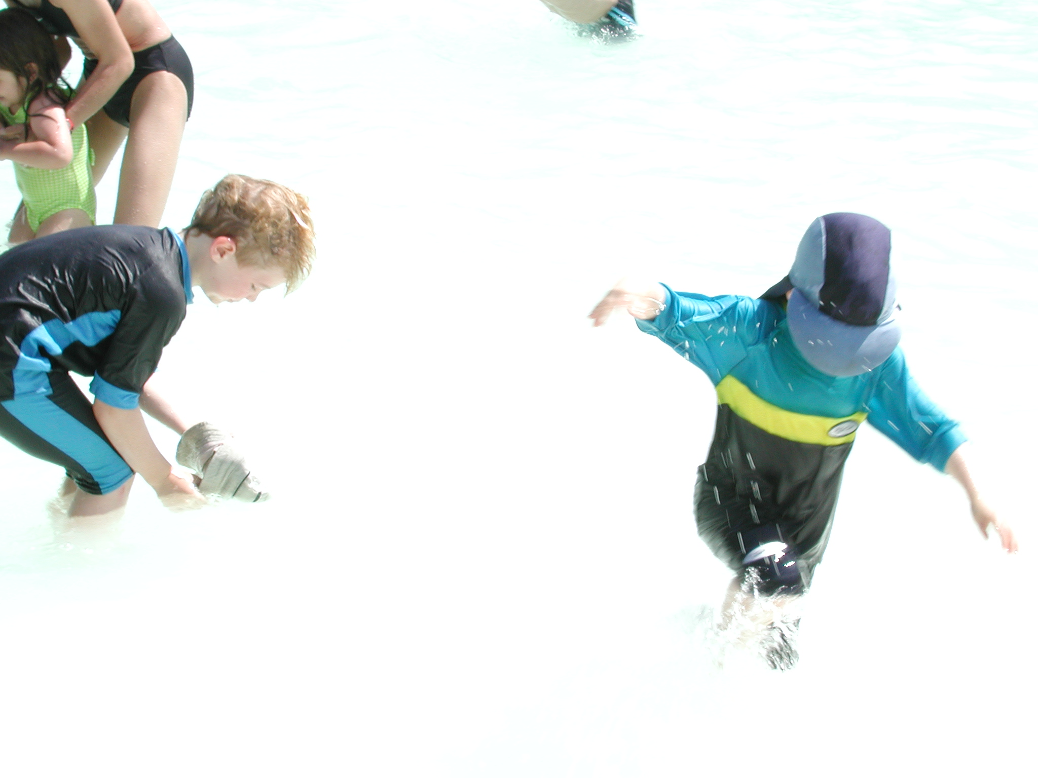 DSCN4279.JPG, 491461 bytes, 7/13/02