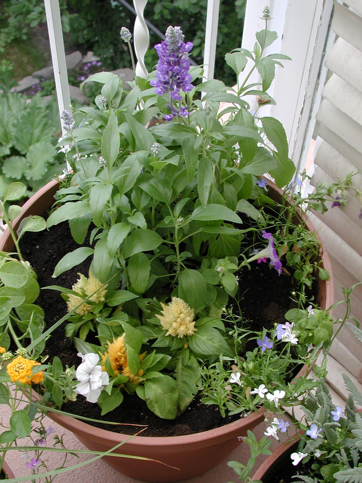 DSCN4338.JPG, 860157 bytes, 11/03/02