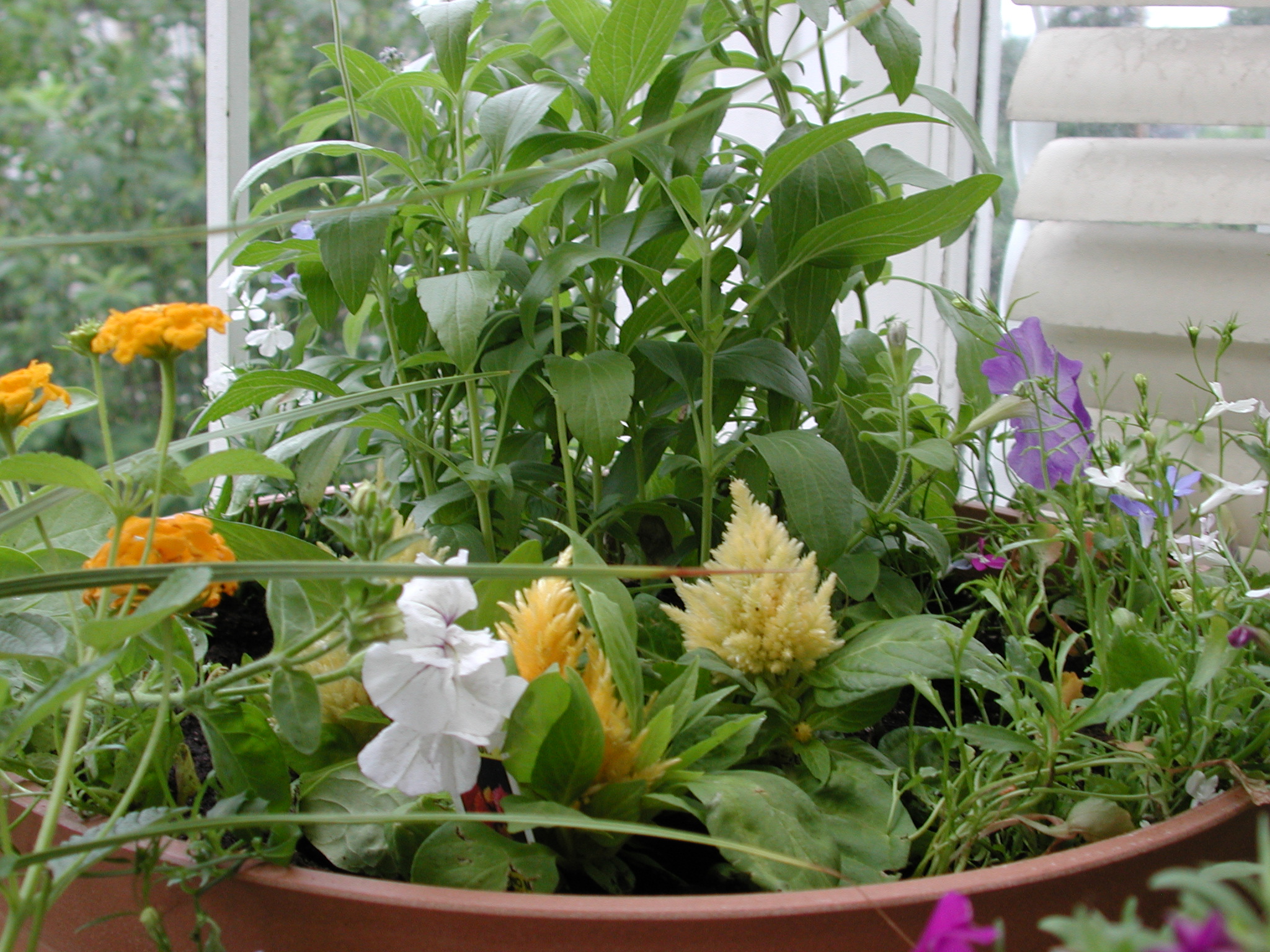 DSCN4344.JPG, 1106245 bytes, 7/14/02