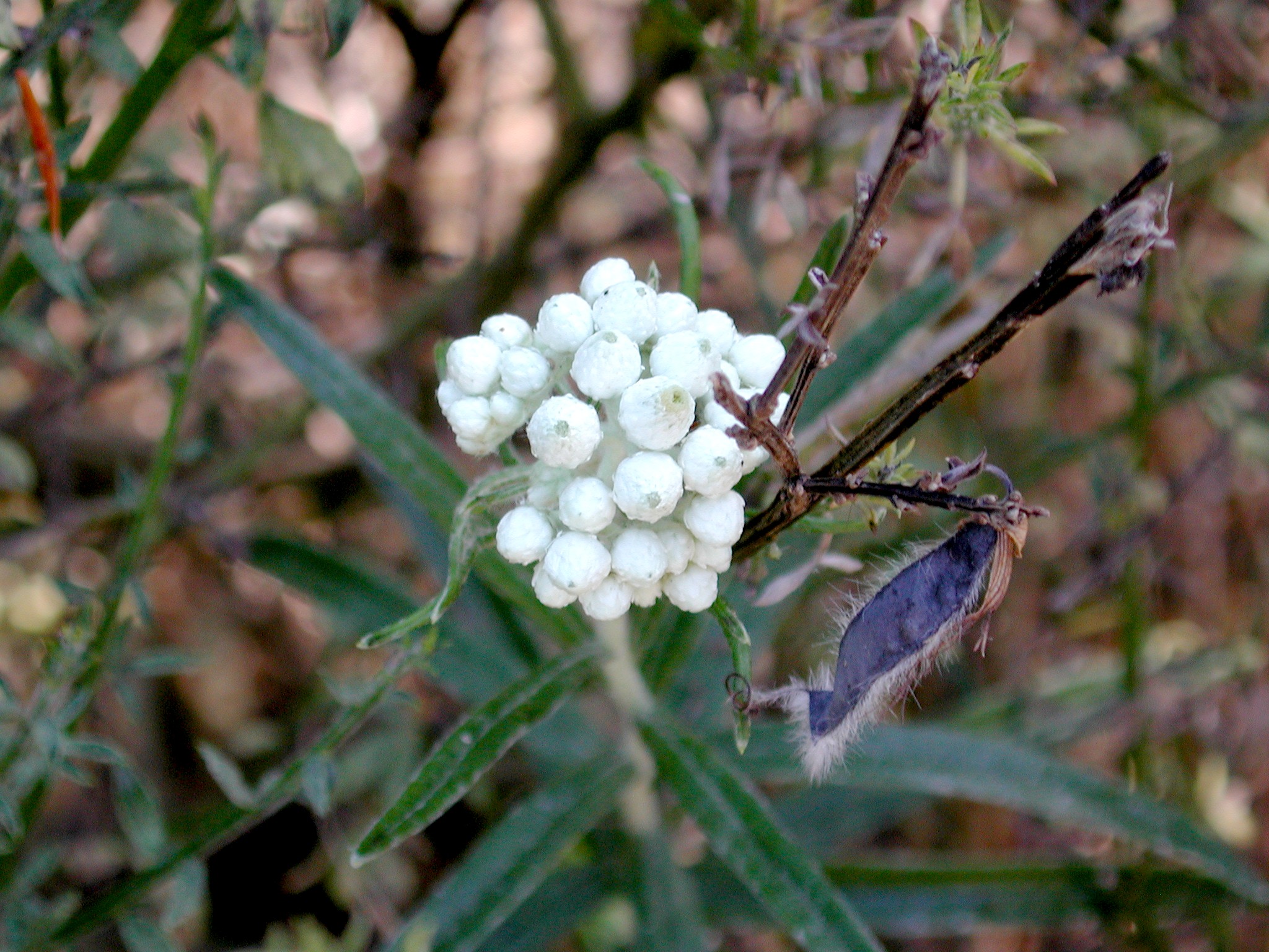 DSCN4494.JPG, 804907 bytes, 11/03/02