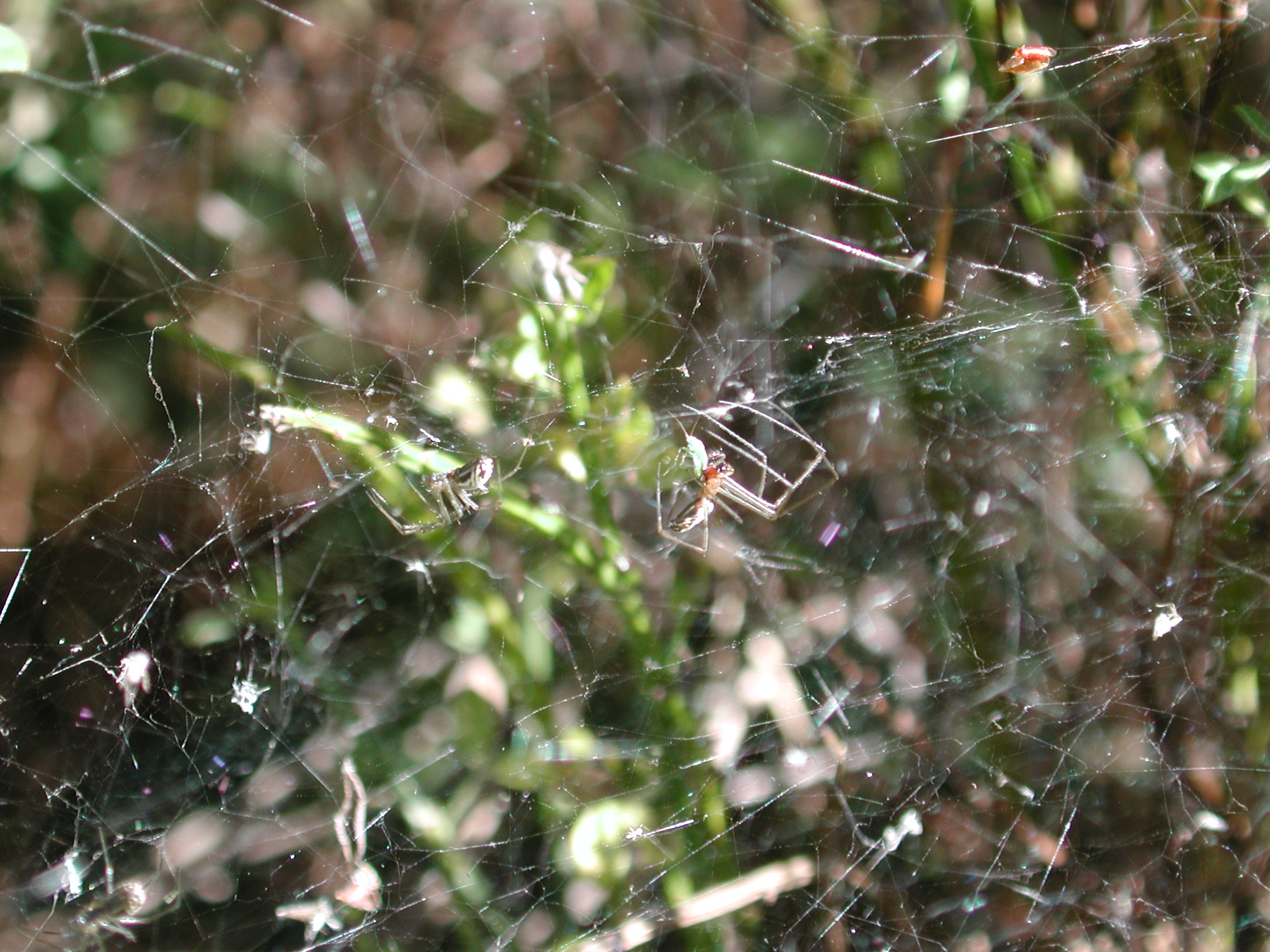 DSCN4502.JPG, 1090662 bytes, 7/20/02