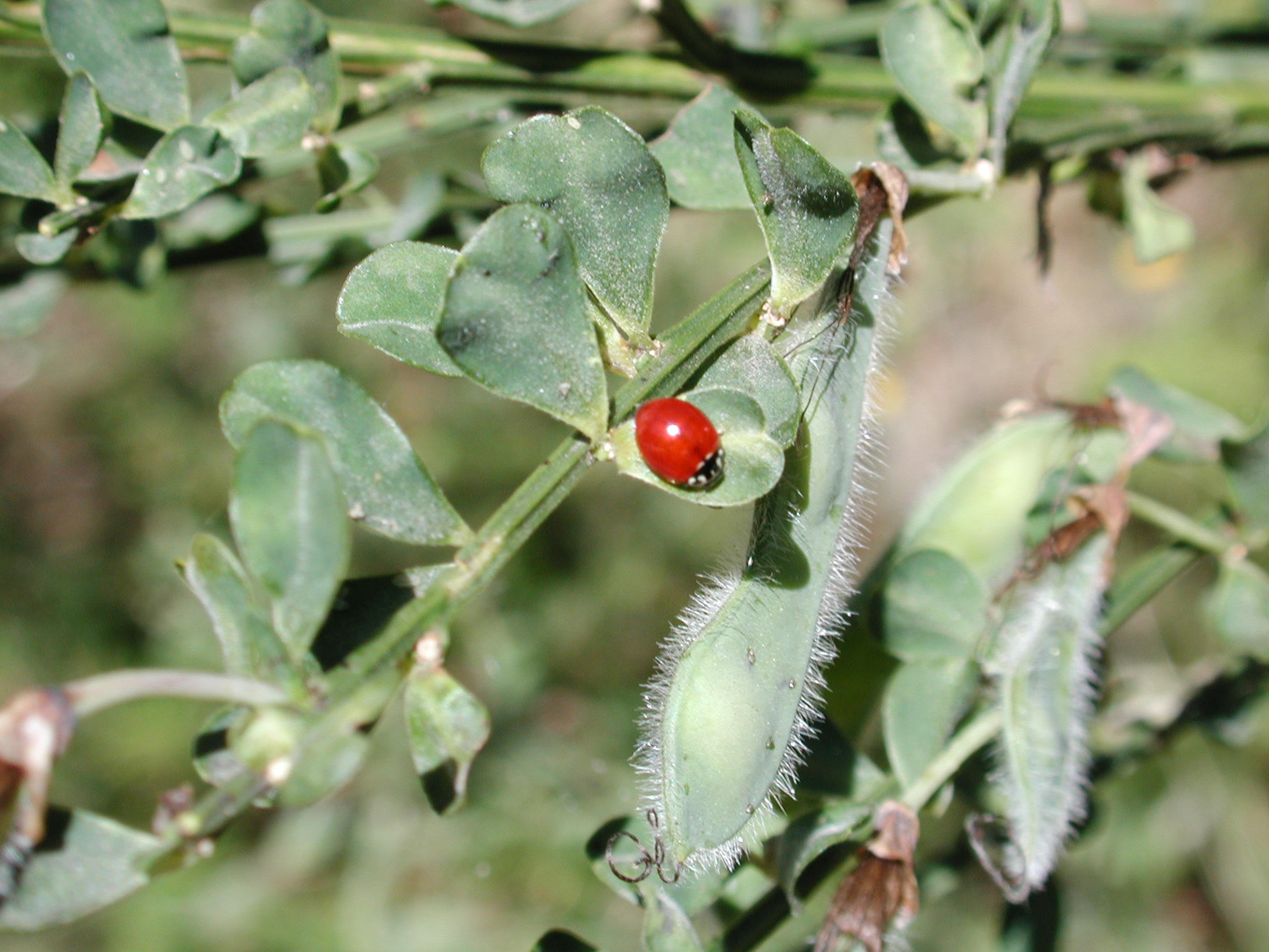 DSCN4507.JPG, 1050949 bytes, 7/20/02