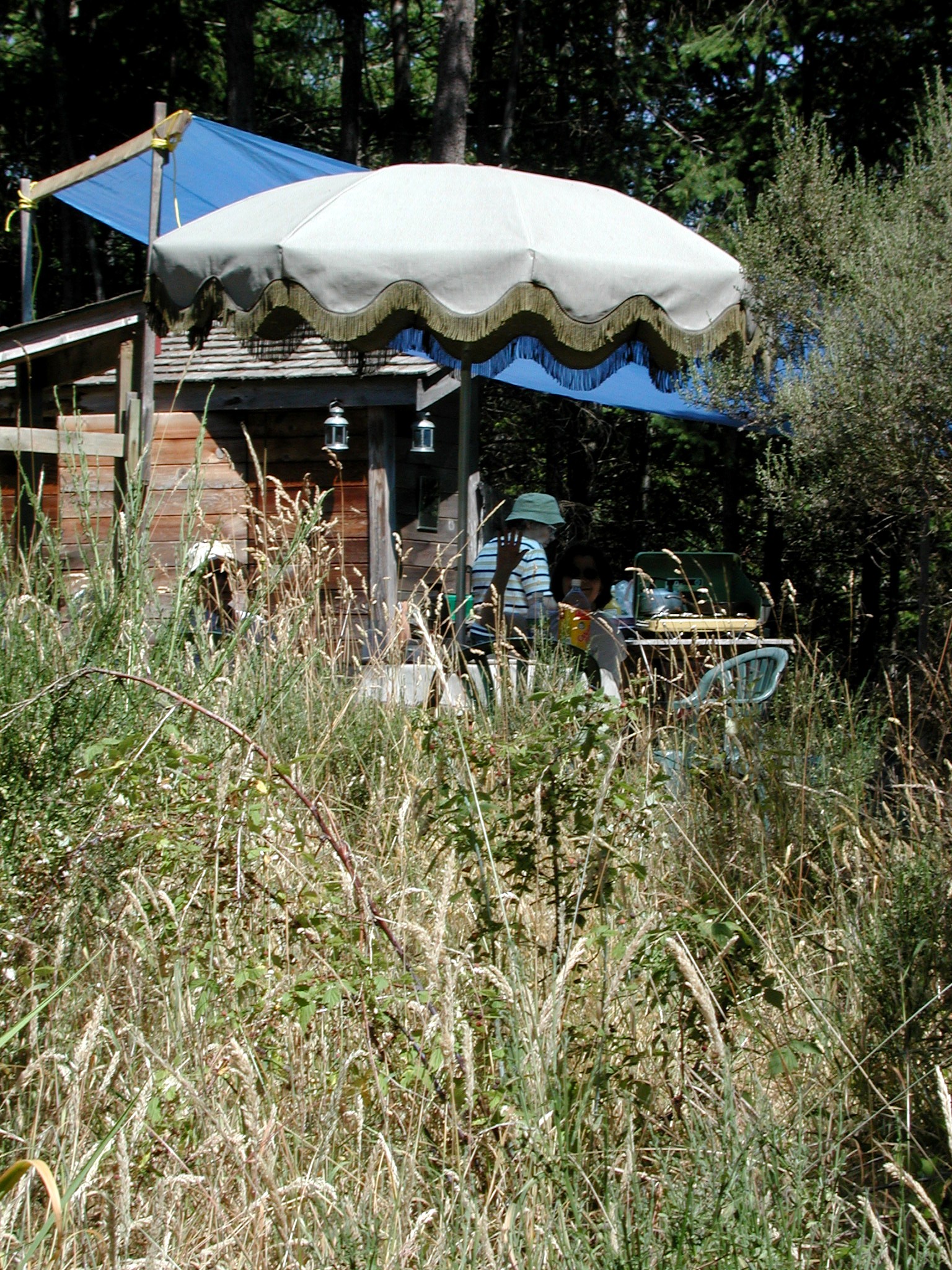 DSCN4511.JPG, 1092258 bytes, 11/03/02