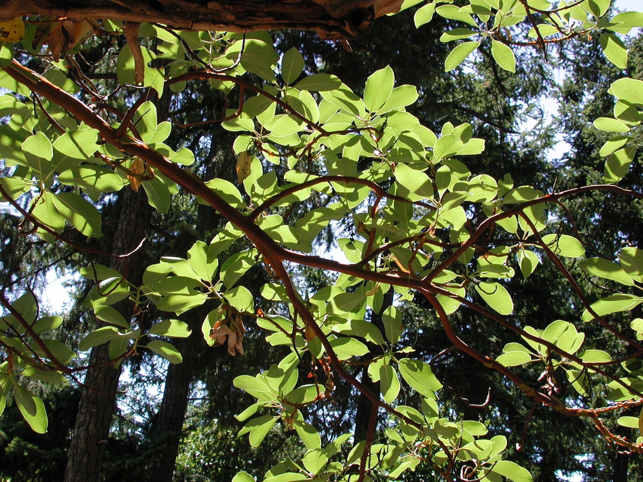 DSCN4513.JPG, 1155666 bytes, 7/20/02