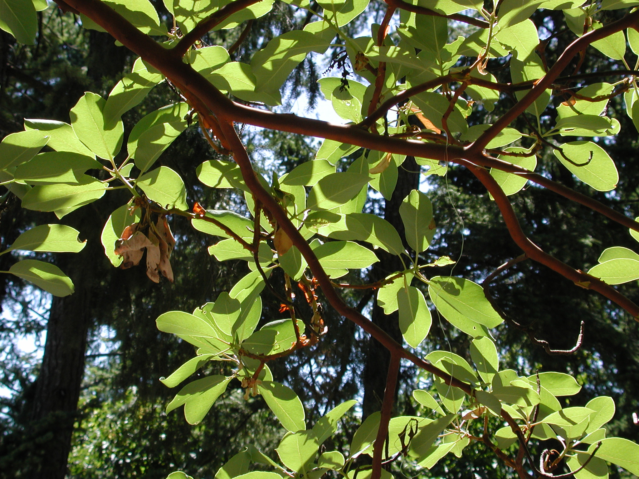 DSCN4514.JPG, 1057421 bytes, 7/20/02