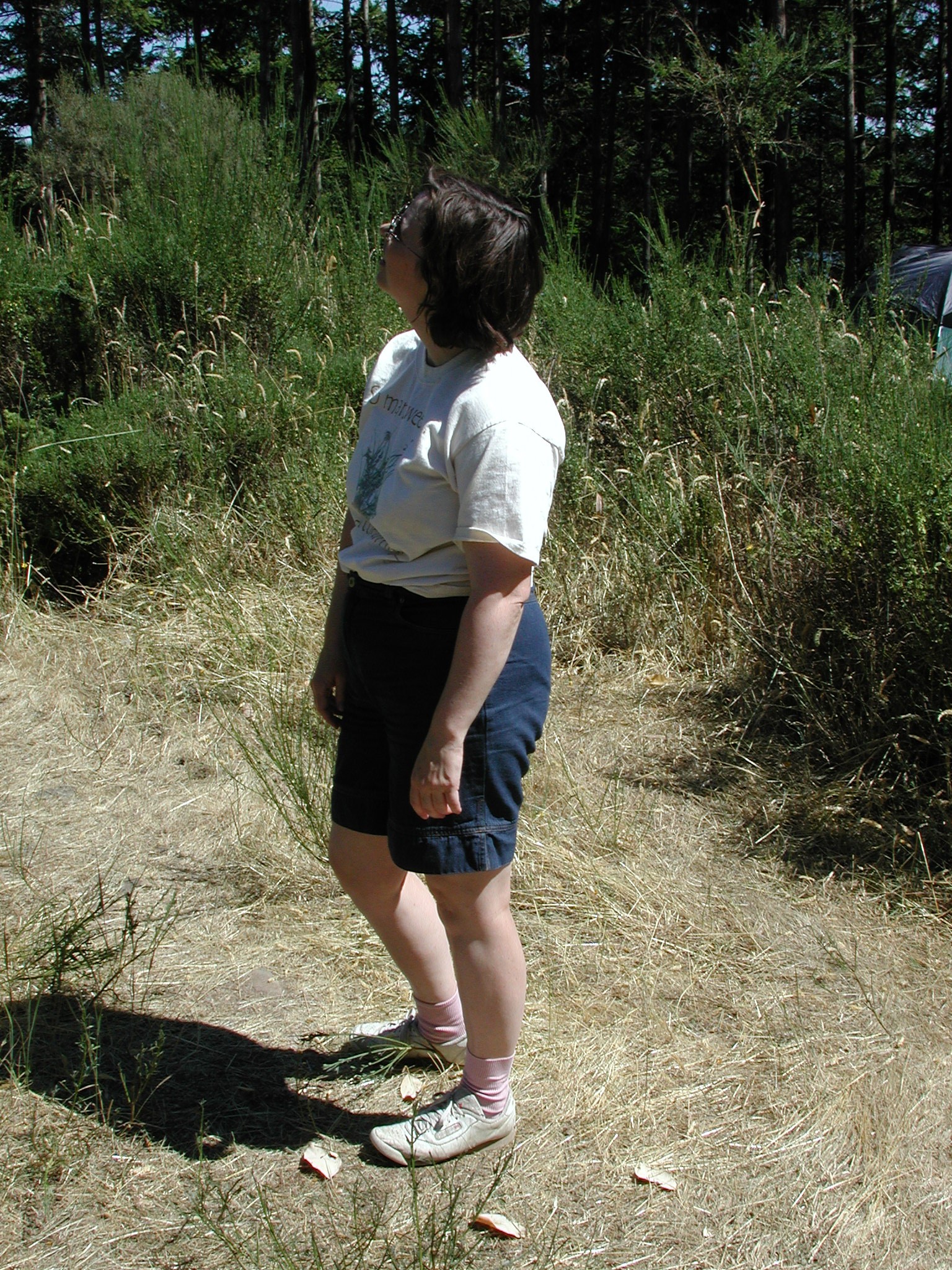 DSCN4522.JPG, 1179589 bytes, 11/03/02