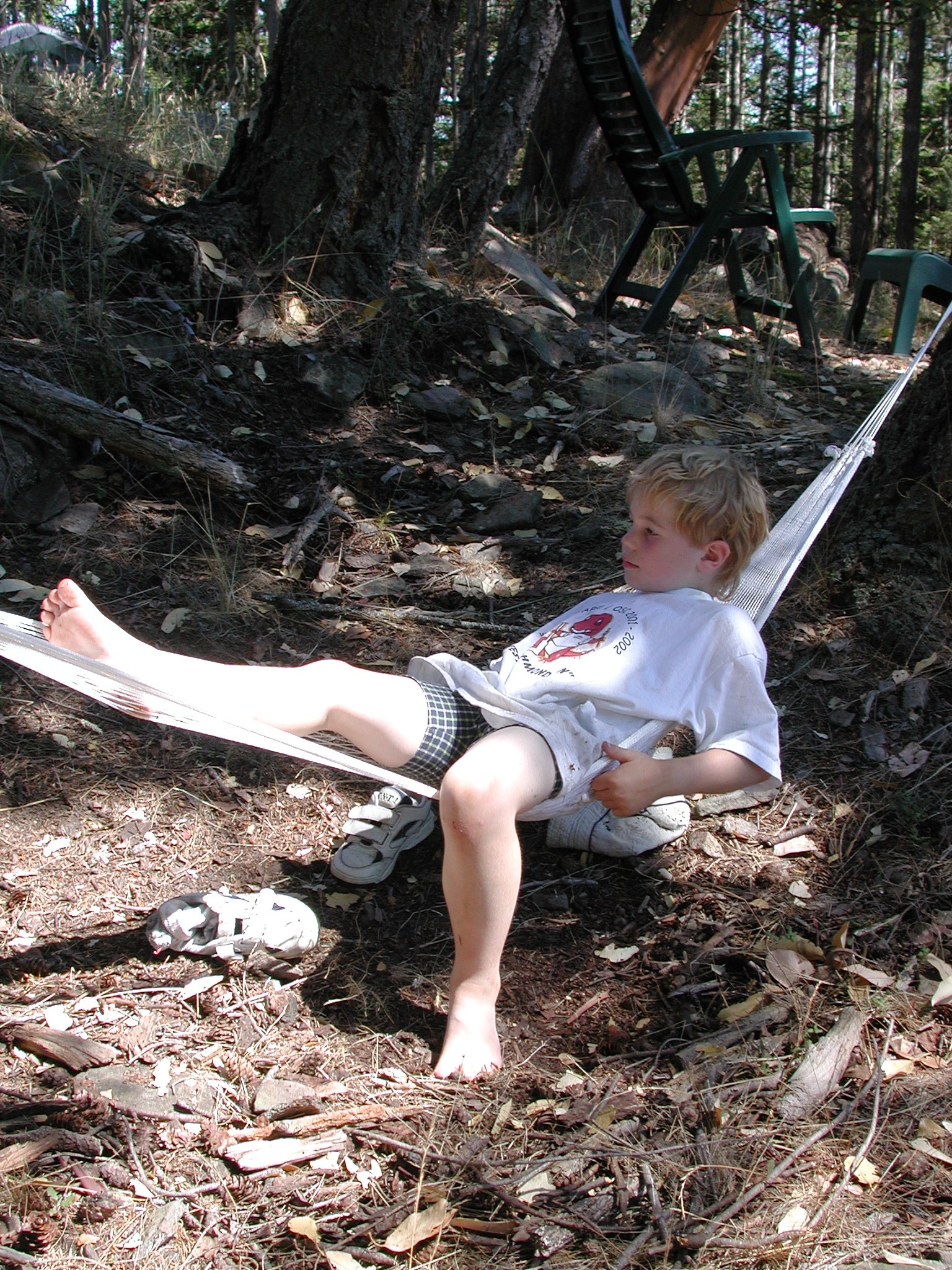 DSCN4528.JPG, 1088688 bytes, 11/03/02