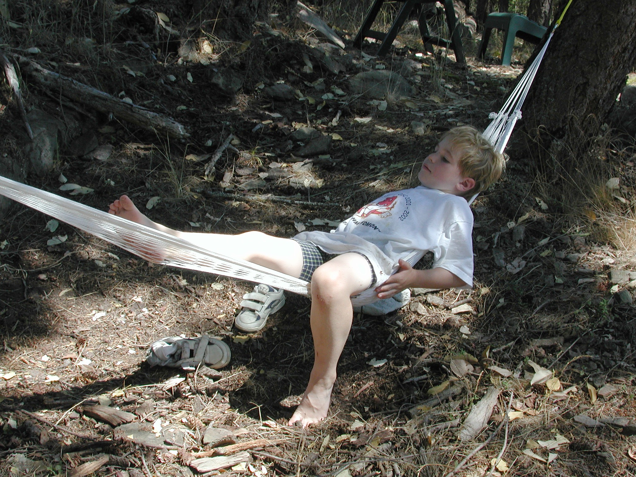 DSCN4529.JPG, 1012660 bytes, 11/03/02