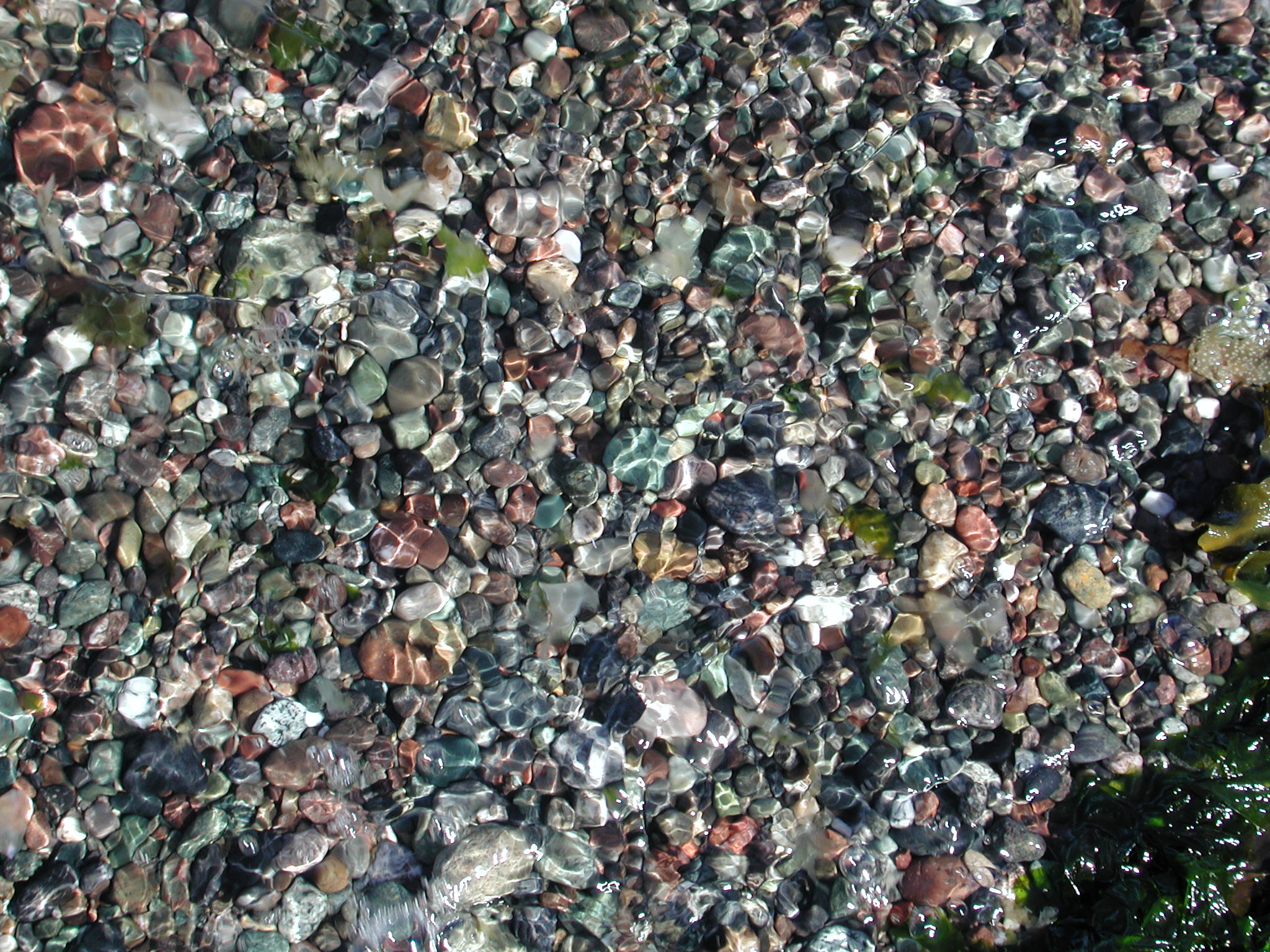 DSCN4537.JPG, 707979 bytes, 7/20/02