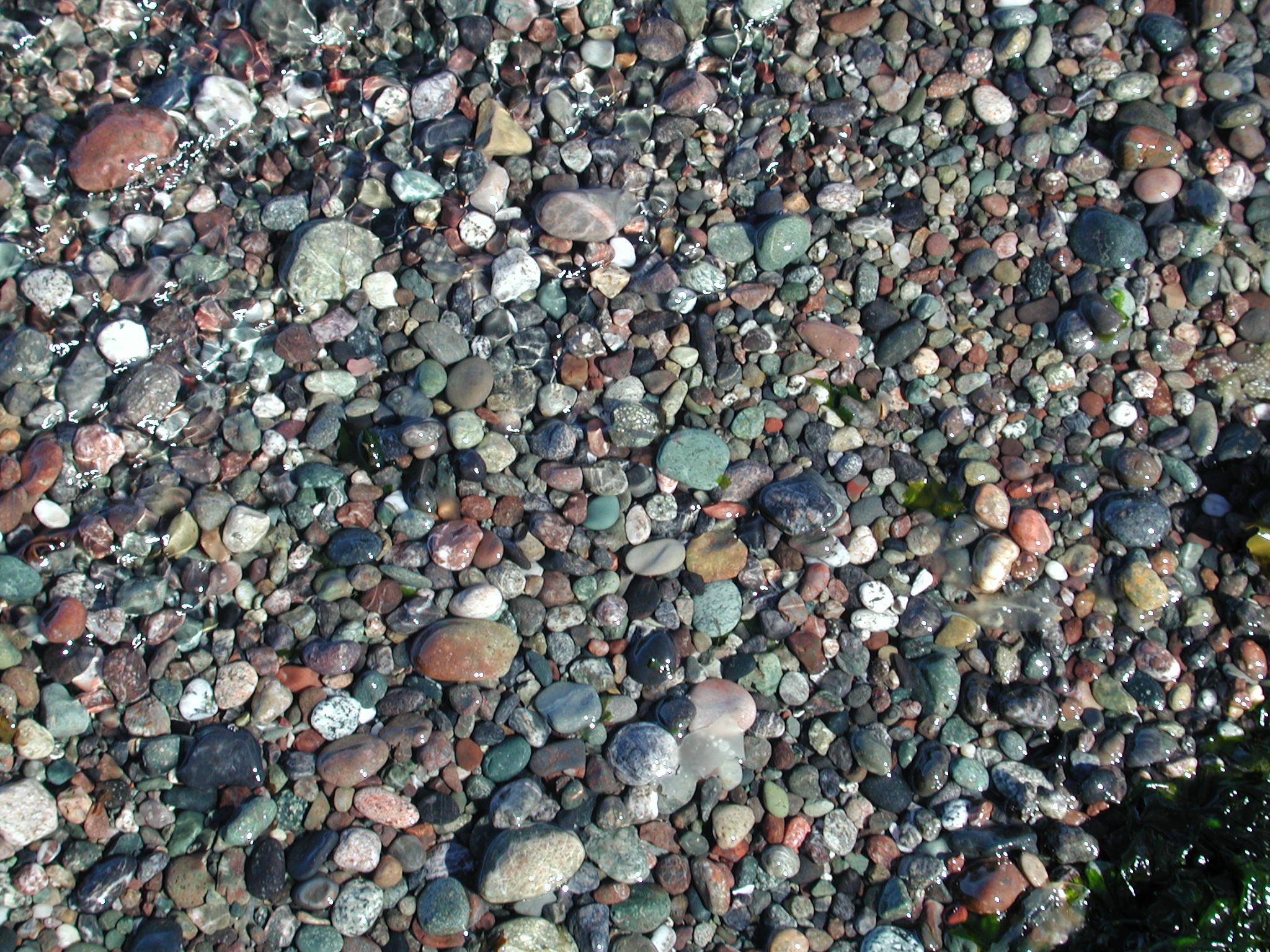 DSCN4538.JPG, 703291 bytes, 7/20/02