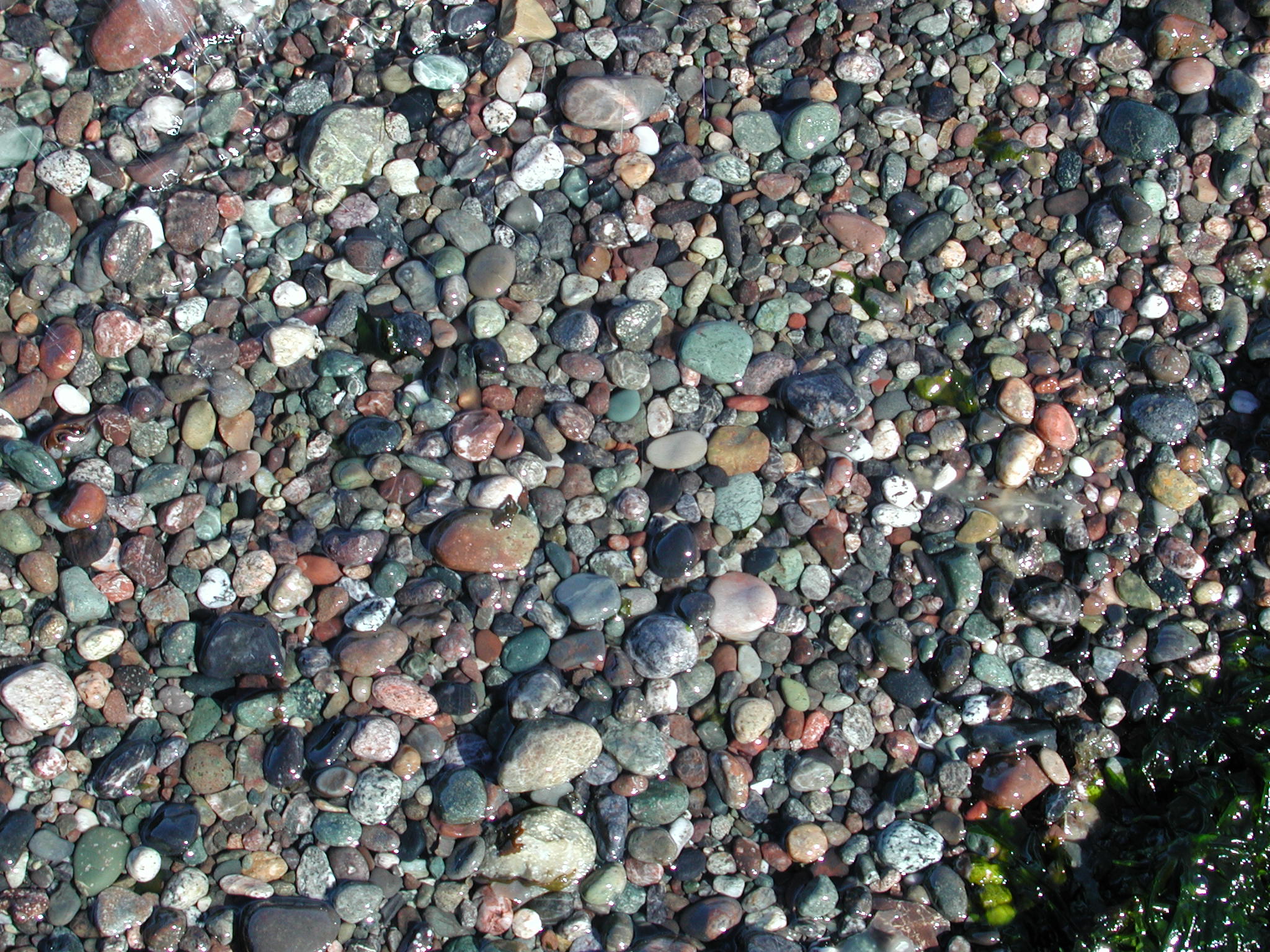 DSCN4539.JPG, 731371 bytes, 7/20/02