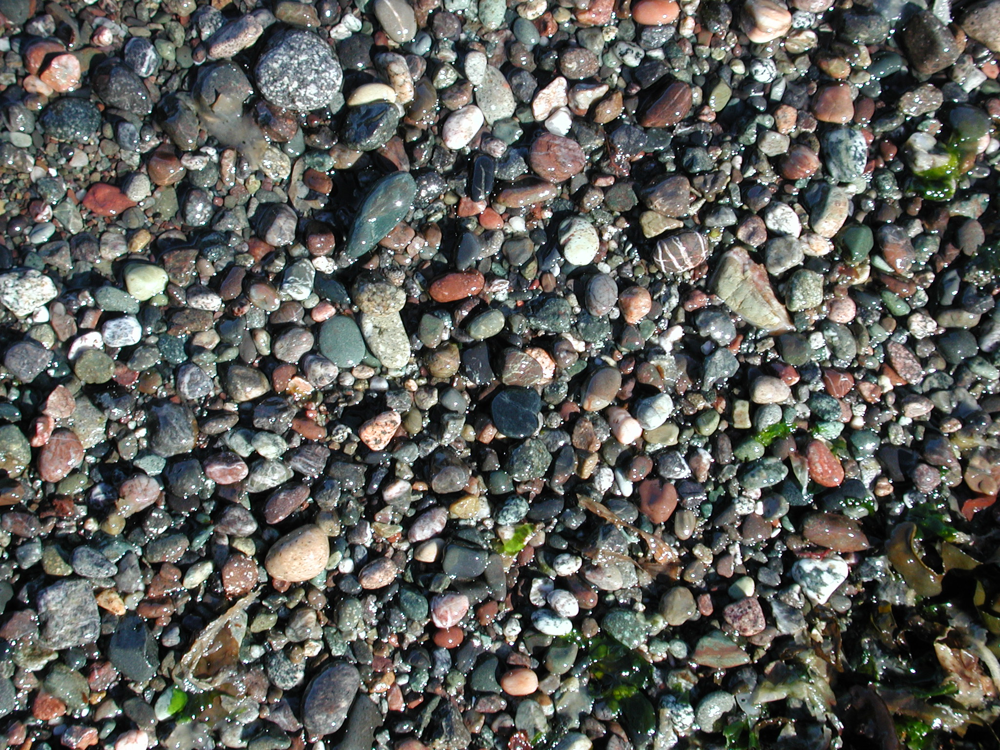 DSCN4540.JPG, 1115675 bytes, 7/20/02