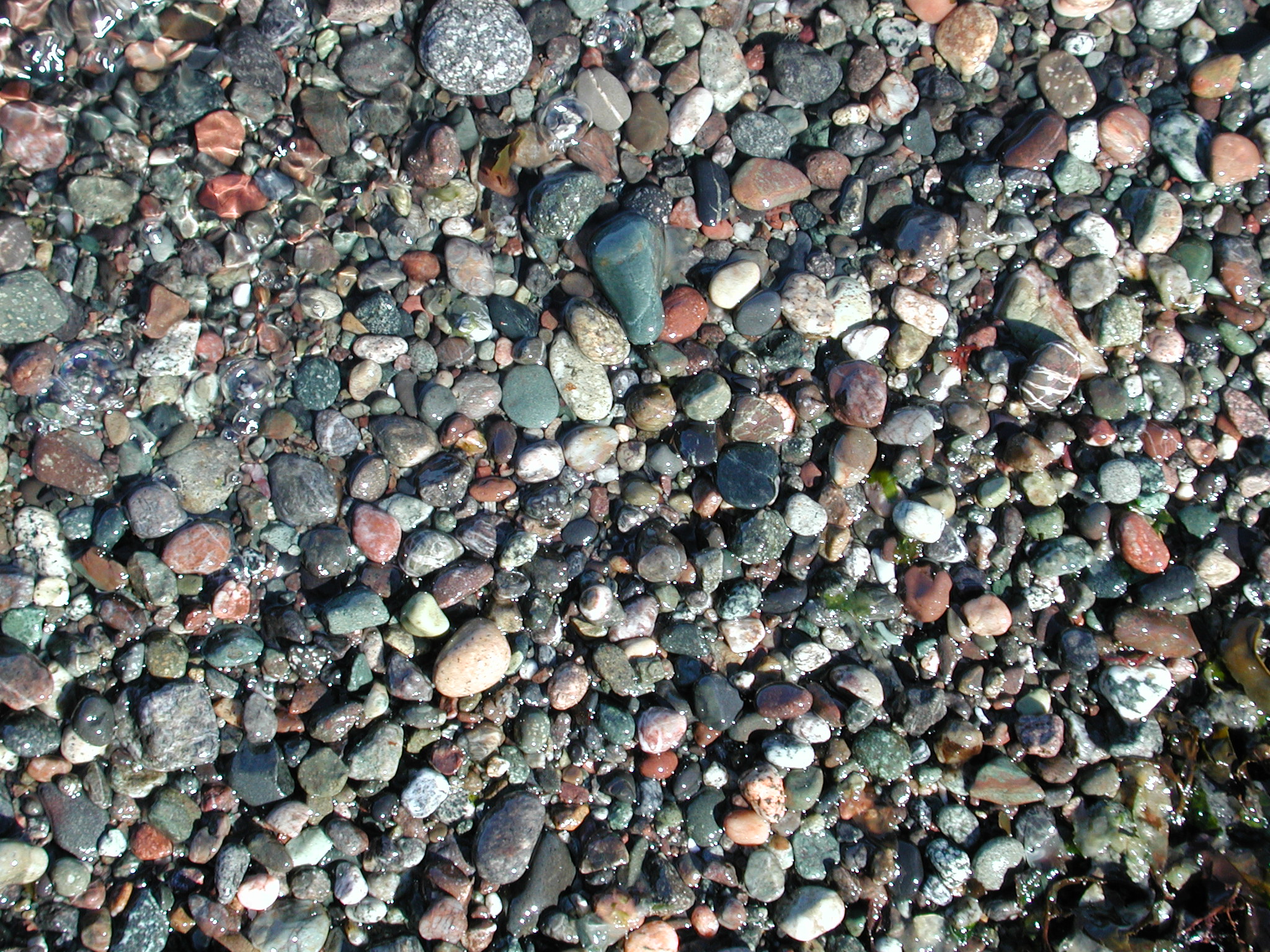 DSCN4541.JPG, 1125126 bytes, 7/20/02