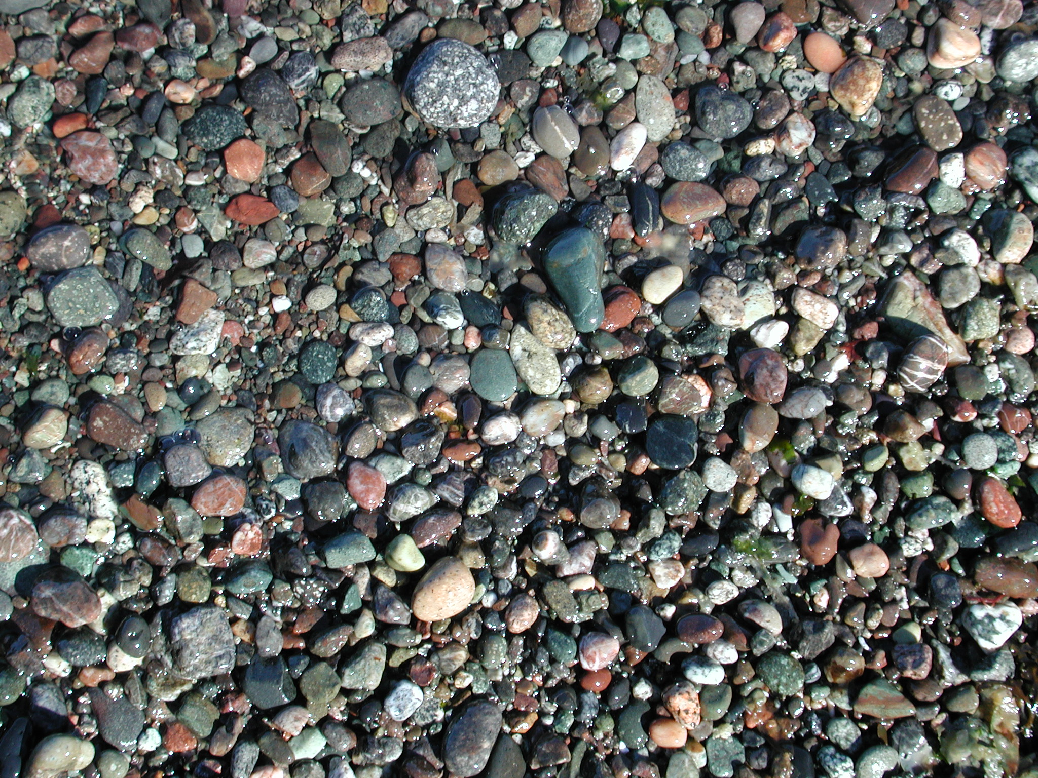 DSCN4542.JPG, 1126956 bytes, 7/20/02