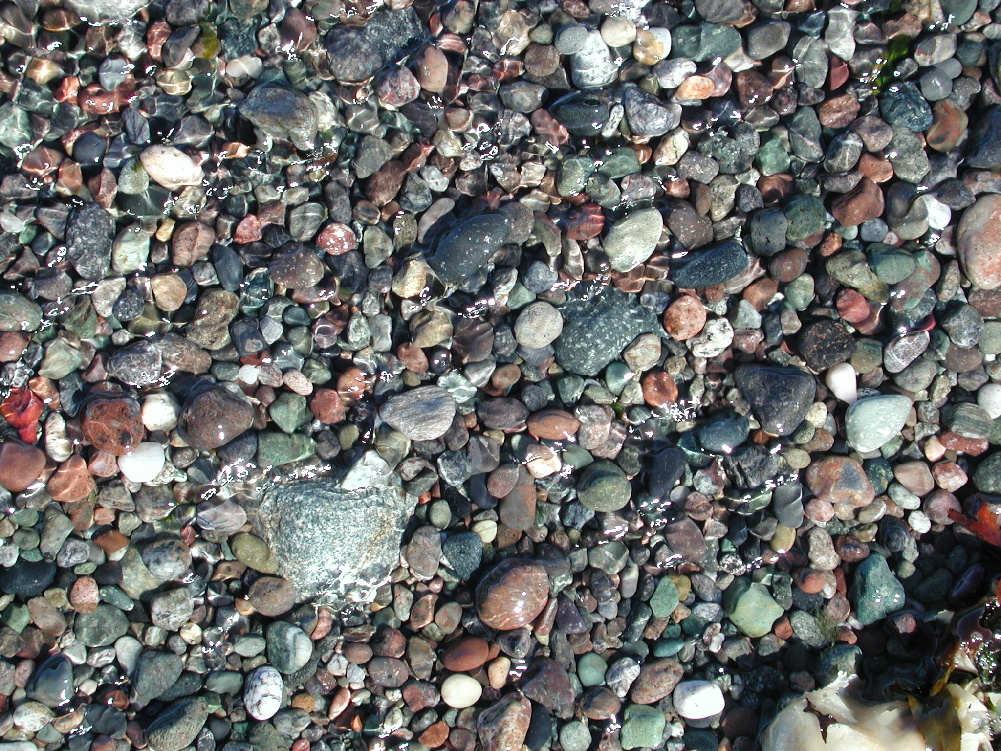 DSCN4544.JPG, 1118414 bytes, 7/20/02