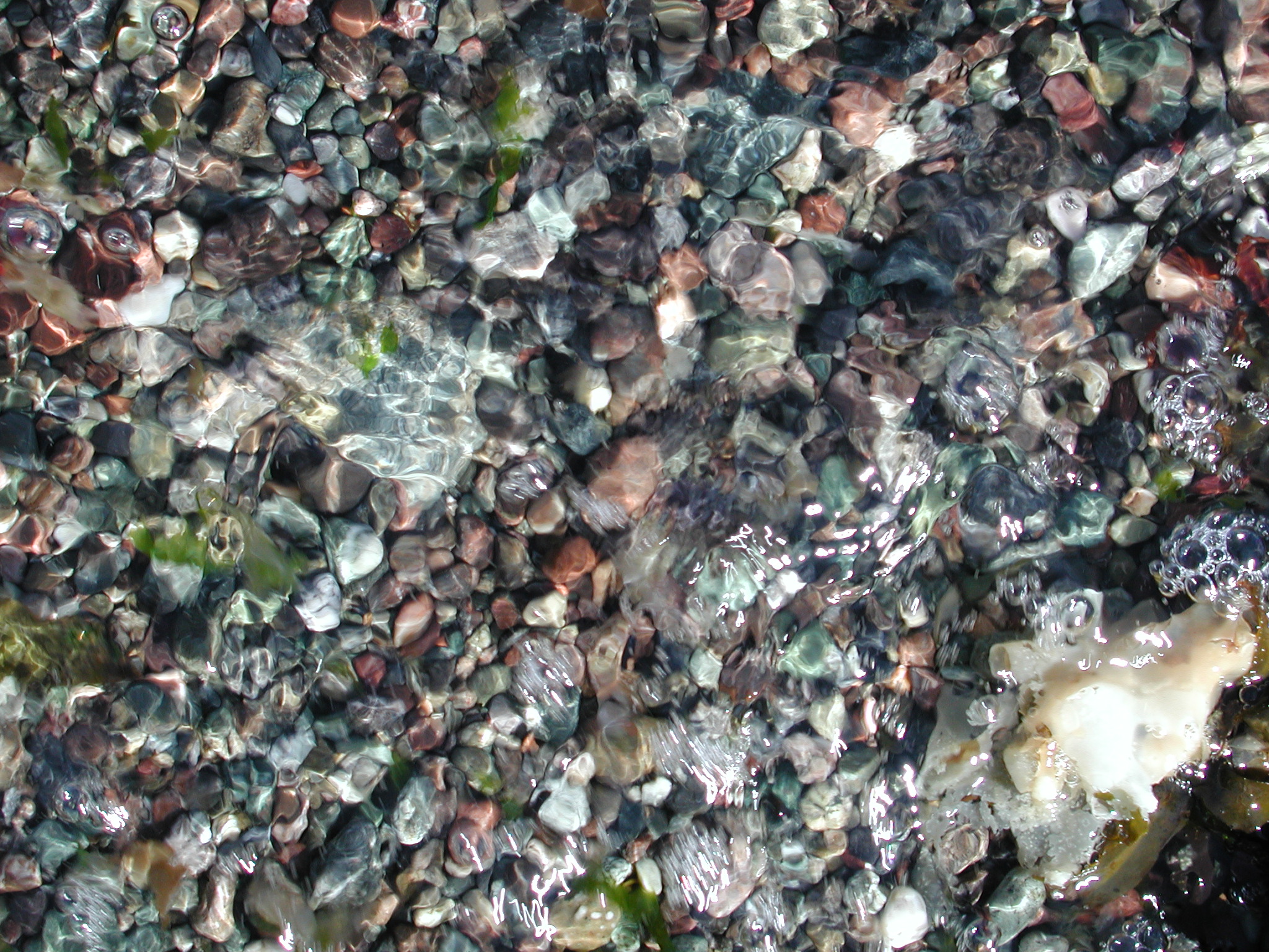 DSCN4545.JPG, 1094309 bytes, 7/20/02