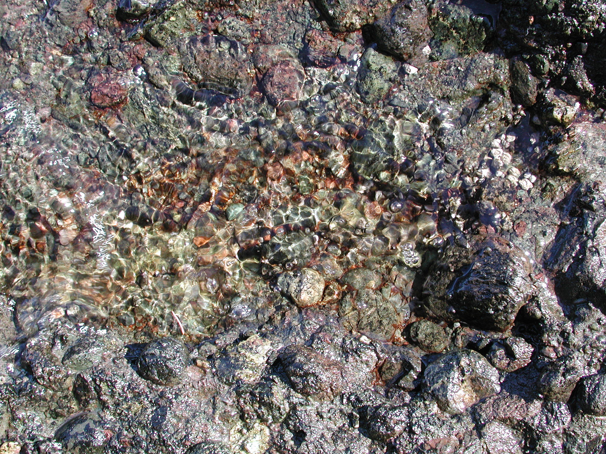 DSCN4562.JPG, 1226719 bytes, 7/20/02