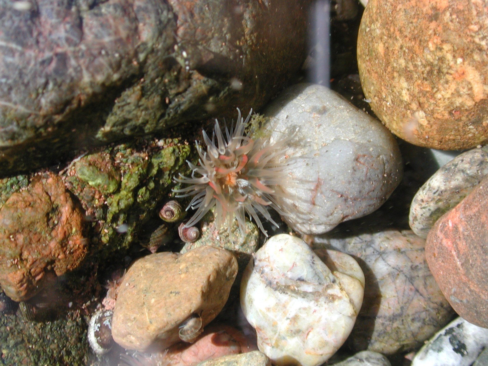 DSCN4563.JPG, 810034 bytes, 11/03/02