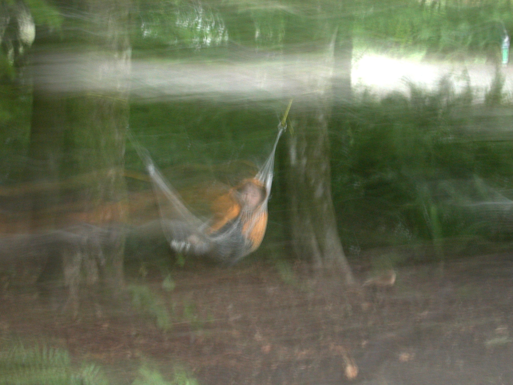 DSCN4585.JPG, 658153 bytes, 12/22/02