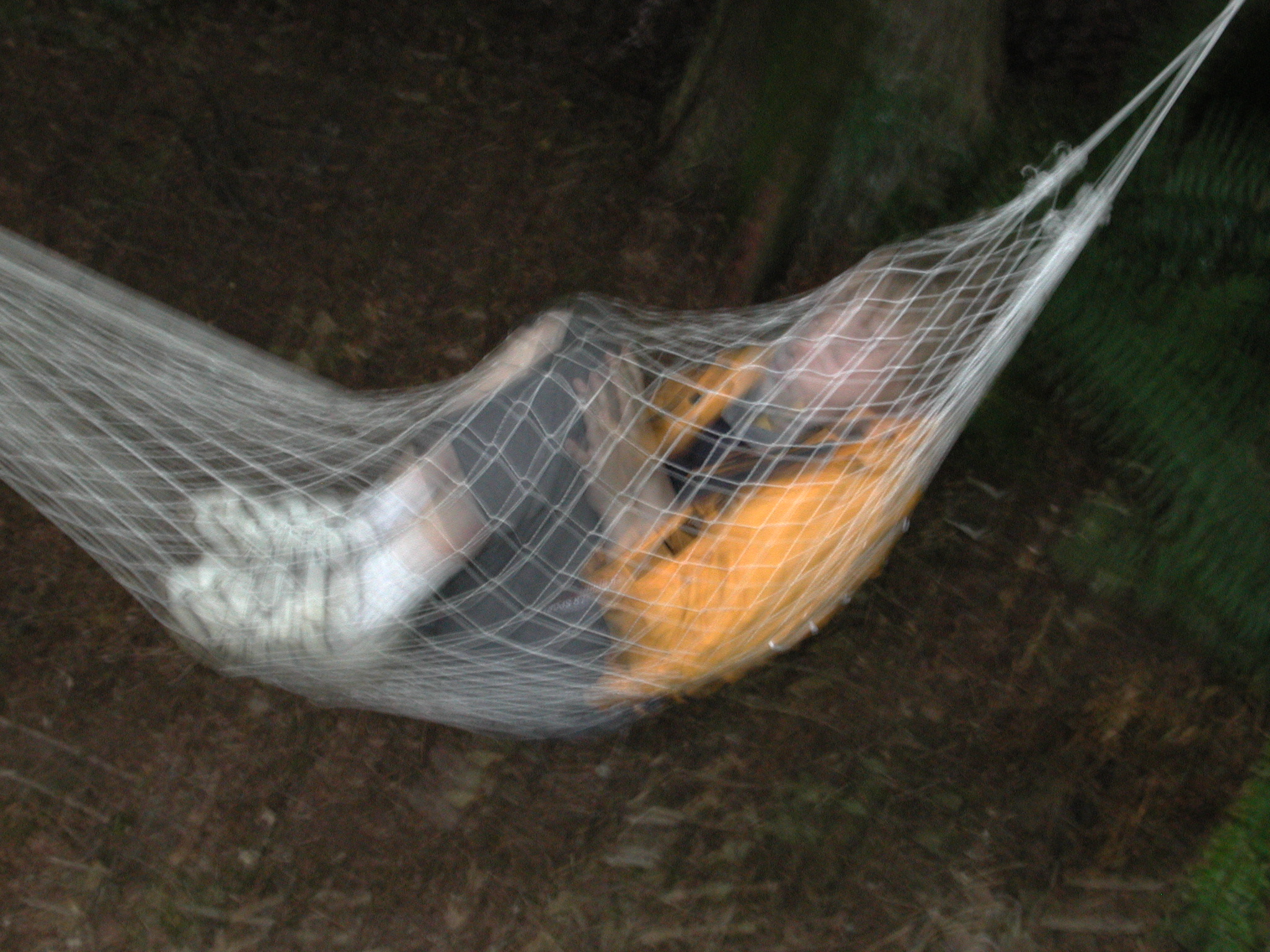 DSCN4594.JPG, 1230803 bytes, 7/28/02