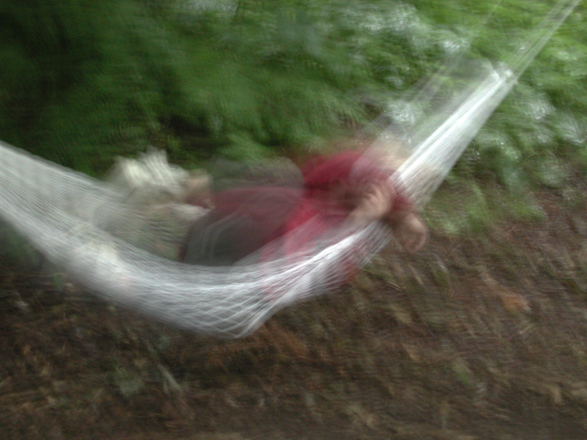 DSCN4595.JPG, 1230830 bytes, 7/28/02