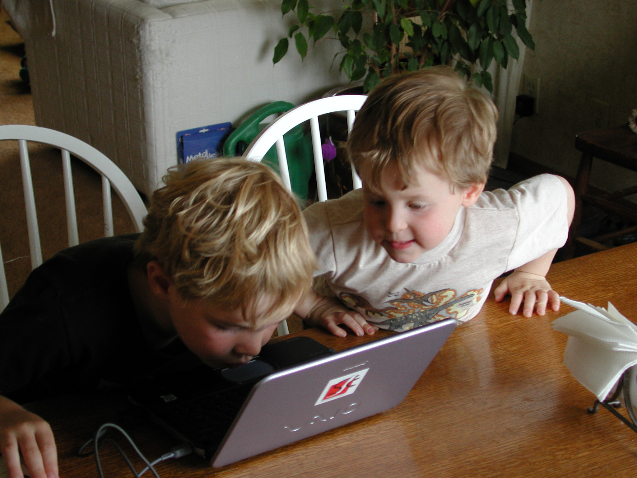 DSCN3854.JPG, 1144563 bytes, 7/08/02