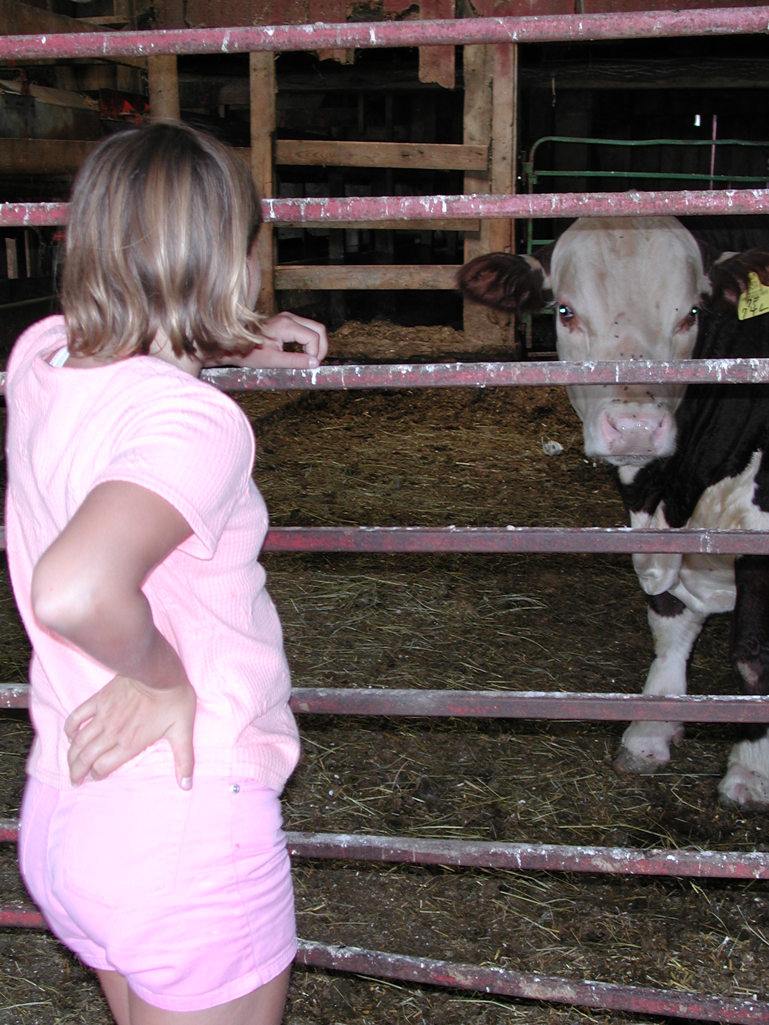 DSCN4706.JPG, 1012485 bytes, 8/25/02