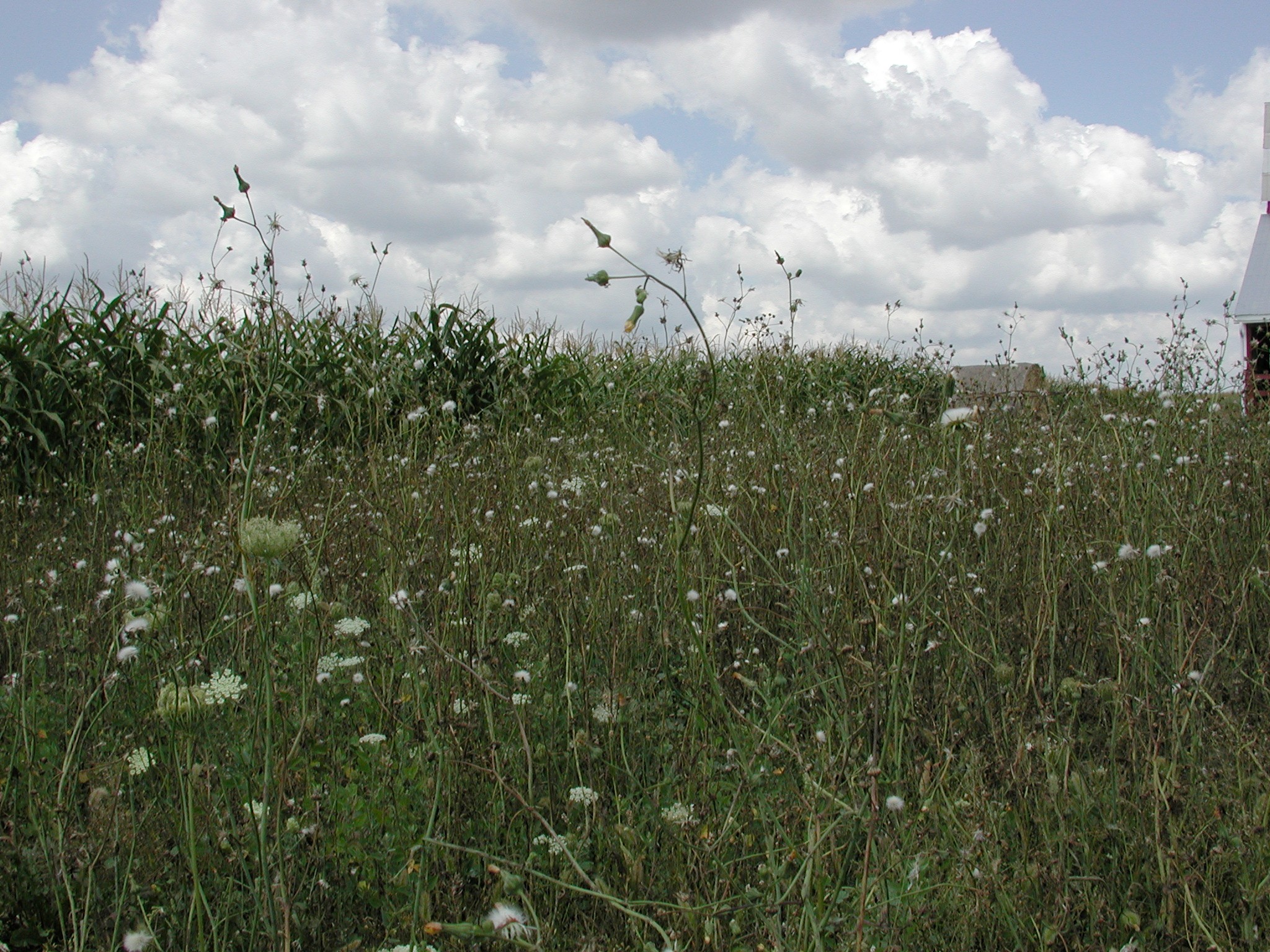 DSCN4729.JPG, 949310 bytes, 12/26/02