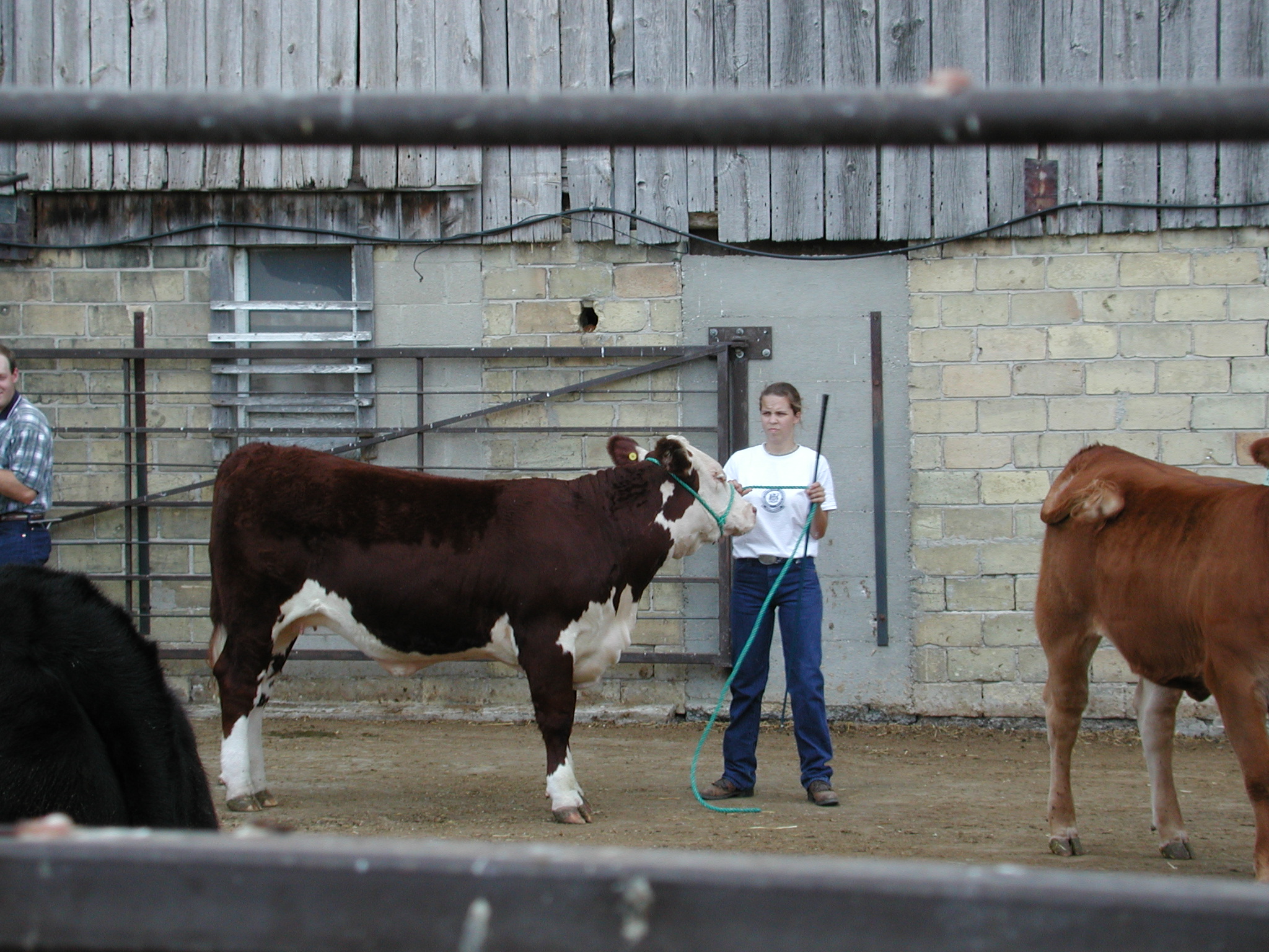 DSCN4735.JPG, 1029744 bytes, 8/25/02