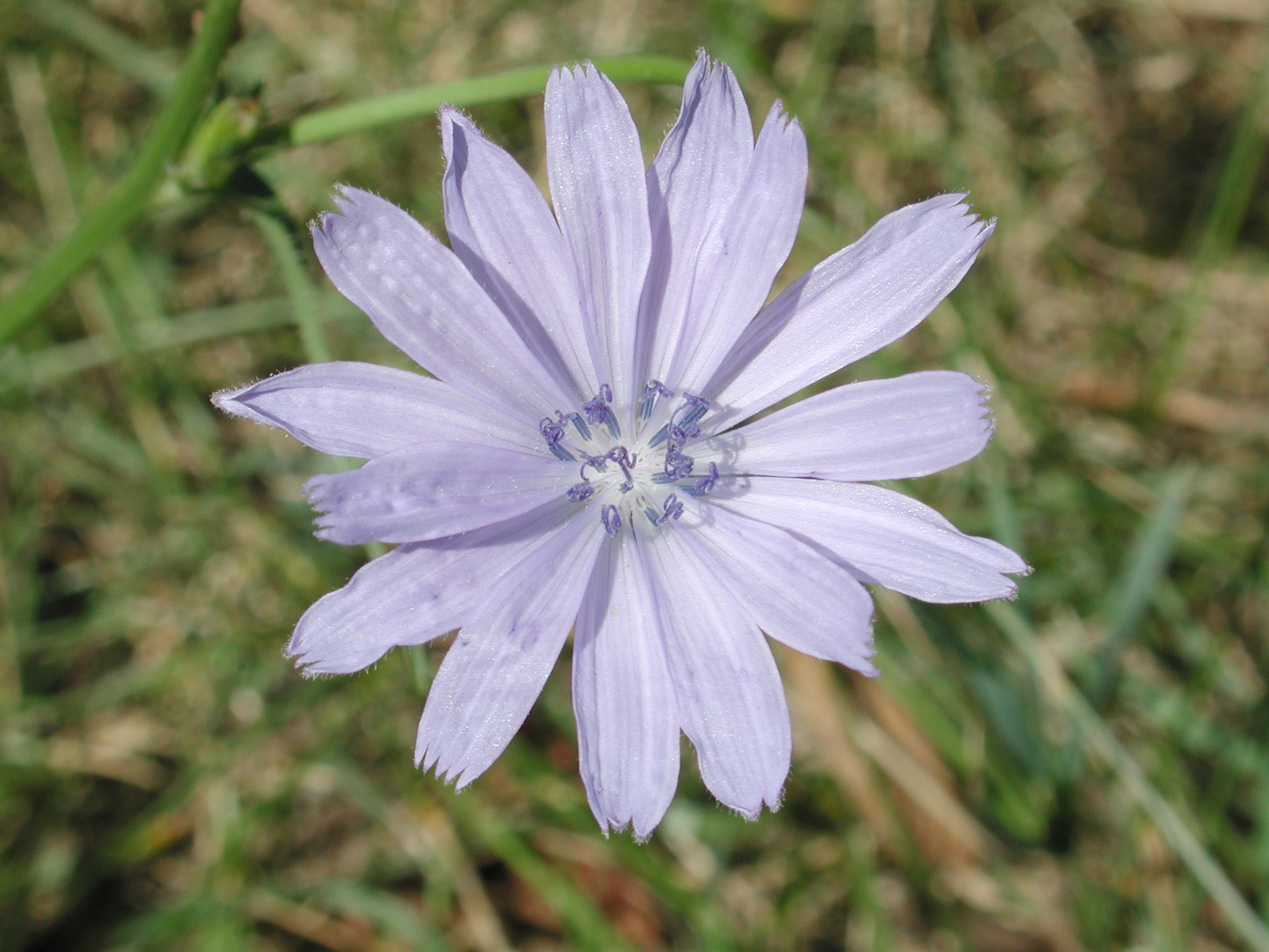 DSCN4797.JPG, 586110 bytes, 12/26/02