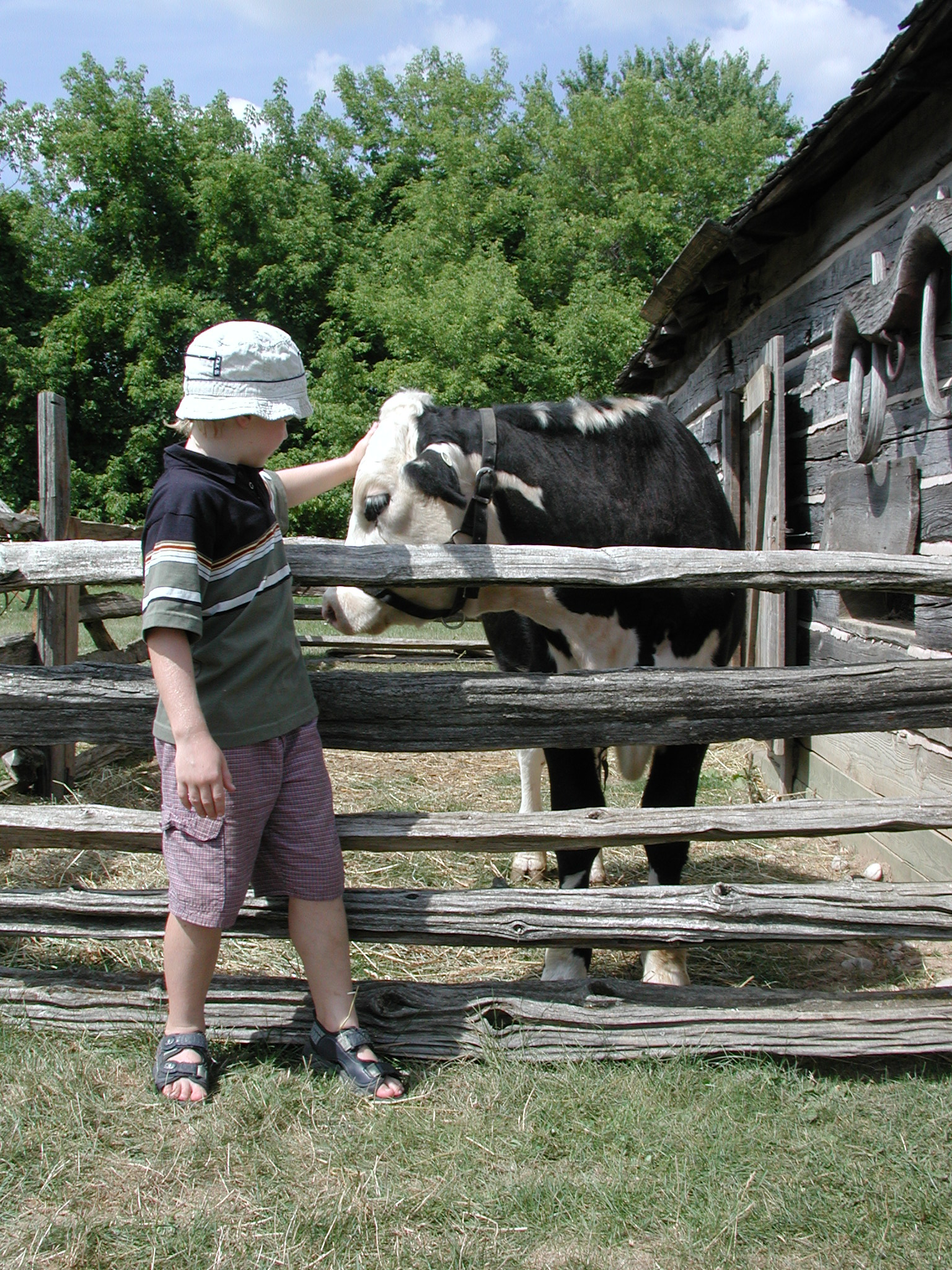 DSCN4801.JPG, 1123467 bytes, 8/26/02