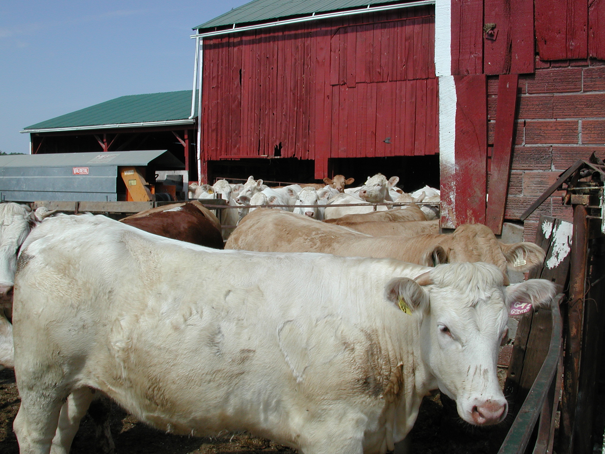 DSCN4862.JPG, 1088485 bytes, 8/27/02