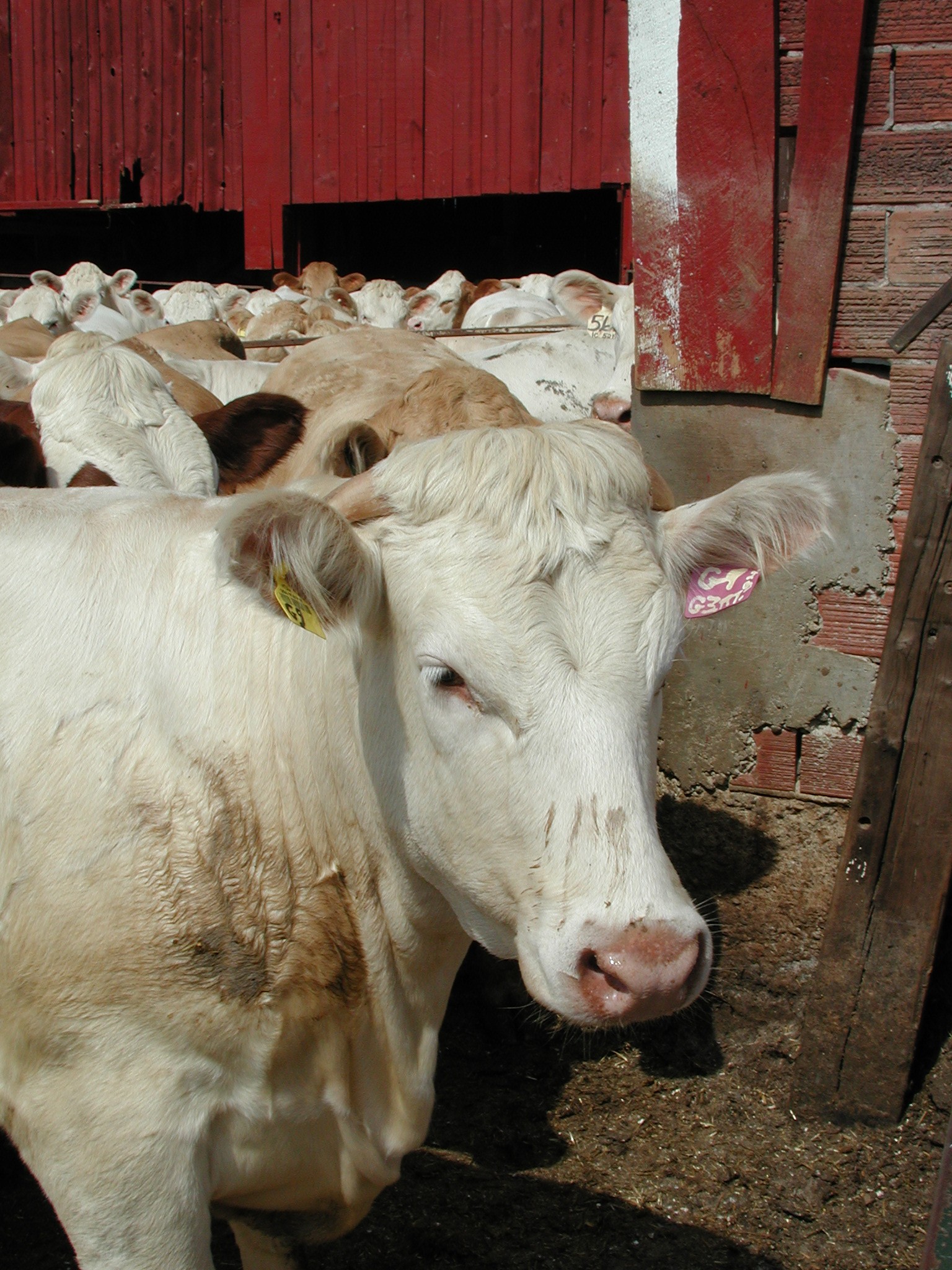 DSCN4864.JPG, 793890 bytes, 12/26/02