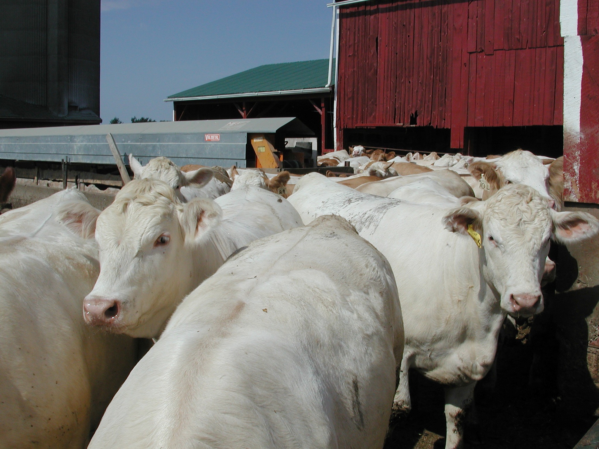 DSCN4866.JPG, 692361 bytes, 12/26/02