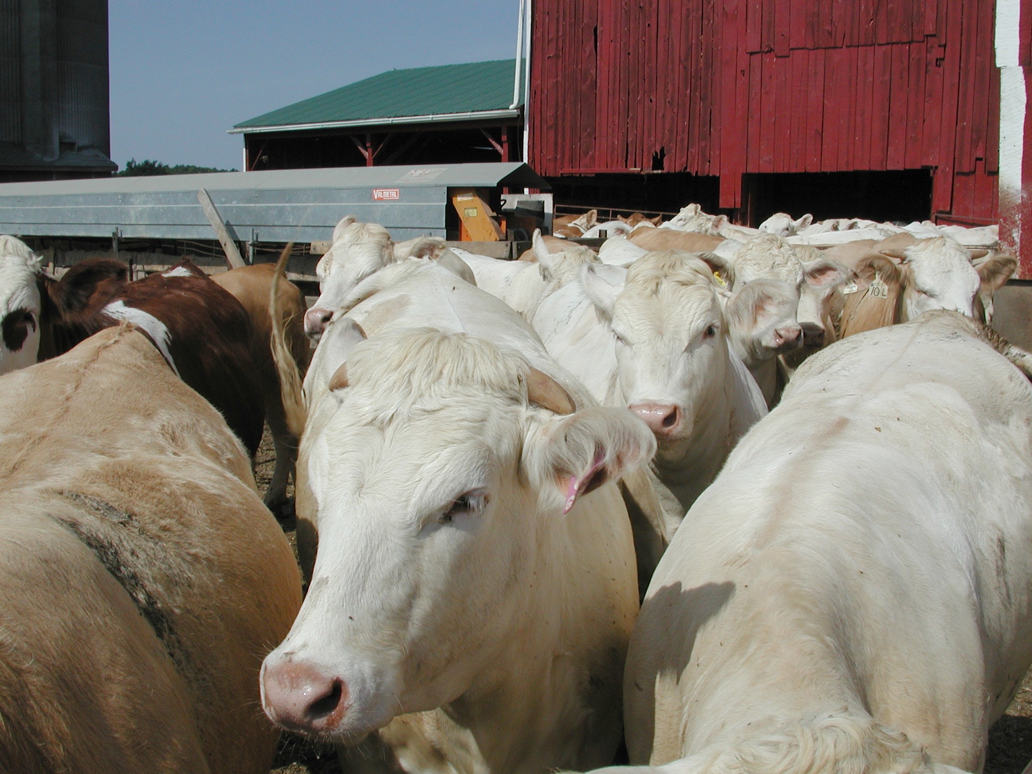 DSCN4868.JPG, 734910 bytes, 12/26/02